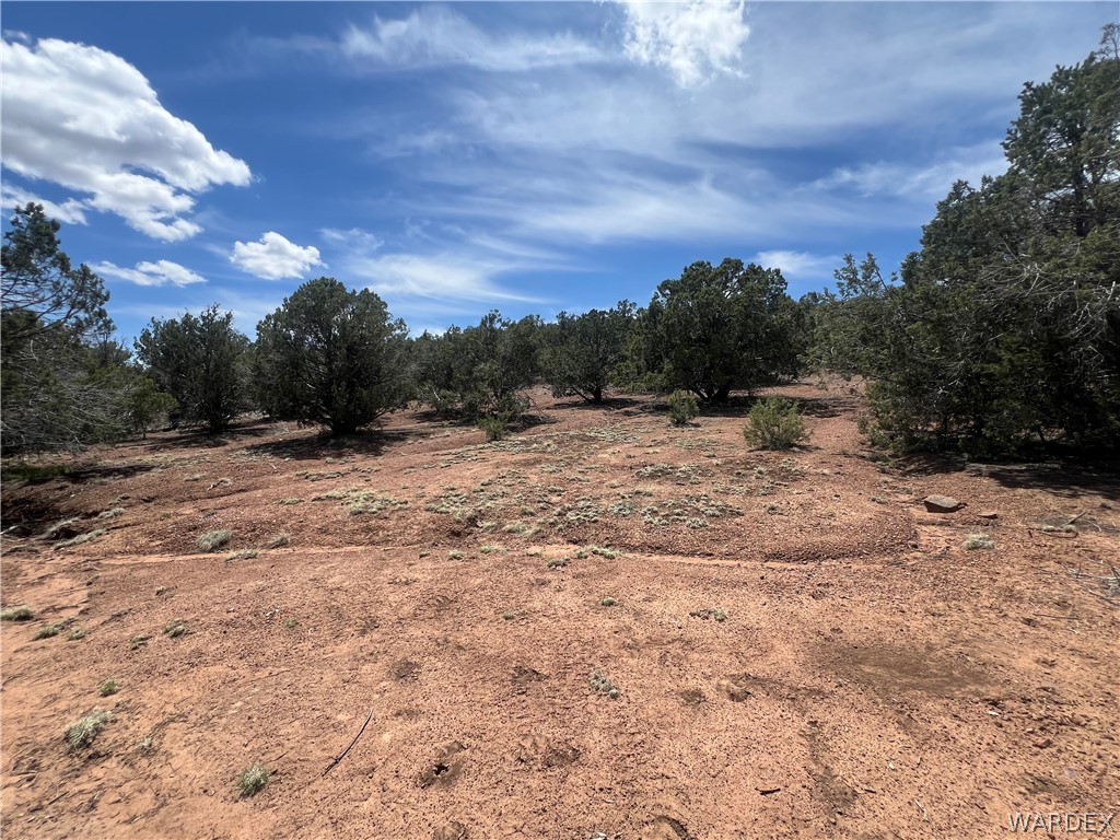 Tbd Sidwell Road Kingman, AZ 86401 - Photo 3 of 13 Gallery Image 3