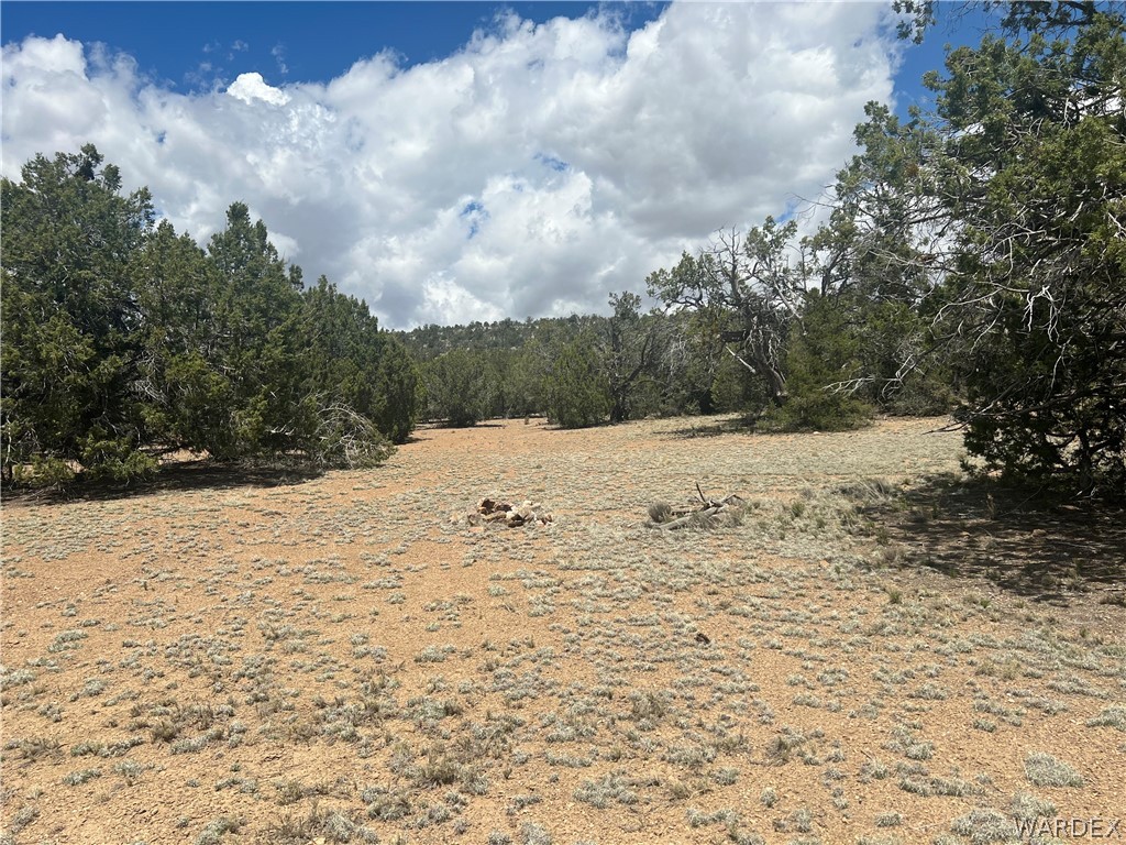 Tbd Sidwell Road Kingman, AZ 86401 - Photo 6 of 13 Gallery Image 6