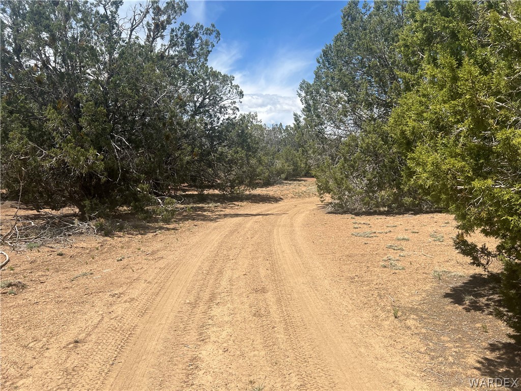 Tbd Sidwell Road Kingman, AZ 86401 - Photo 9 of 13 Gallery Image 9