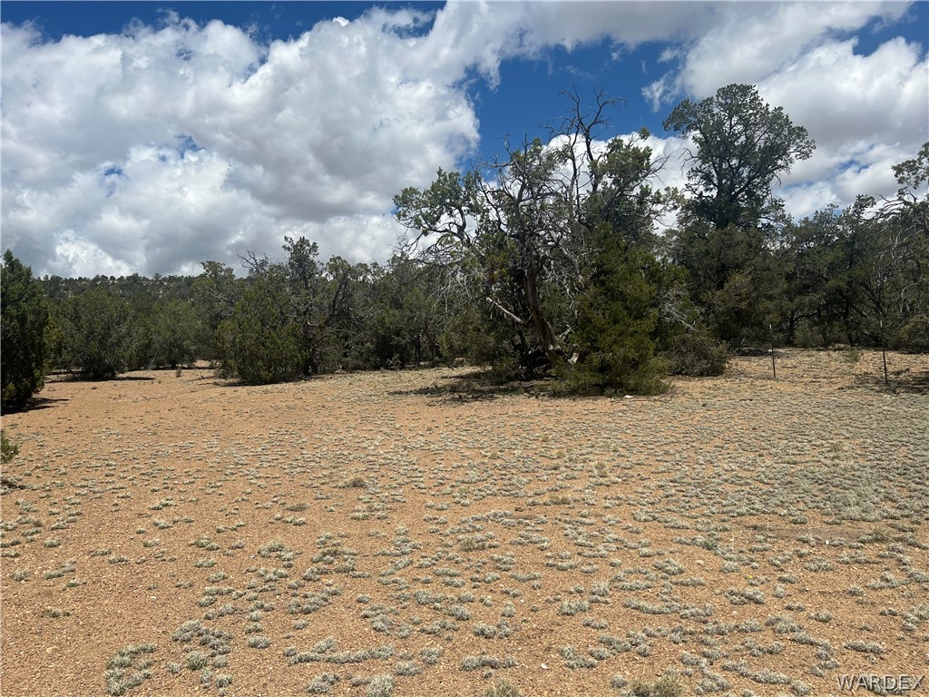 Tbd Sidwell Road Kingman, AZ 86401 - Photo 10 of 13 Gallery Image 10
