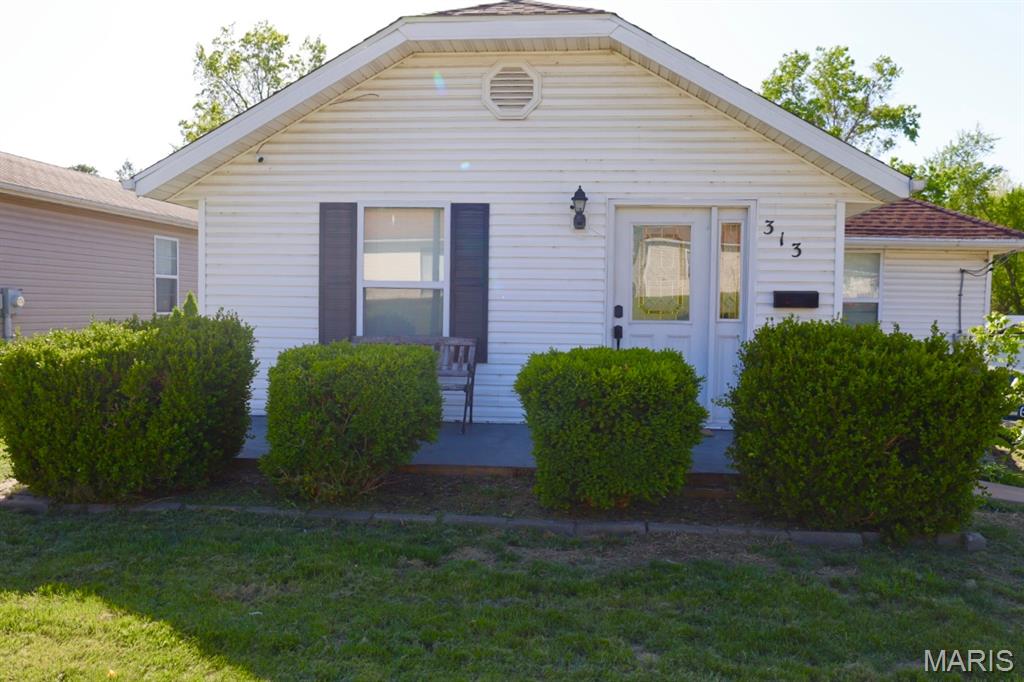313 South Mill Street Festus, MO 63028 - Photo 1 of 20