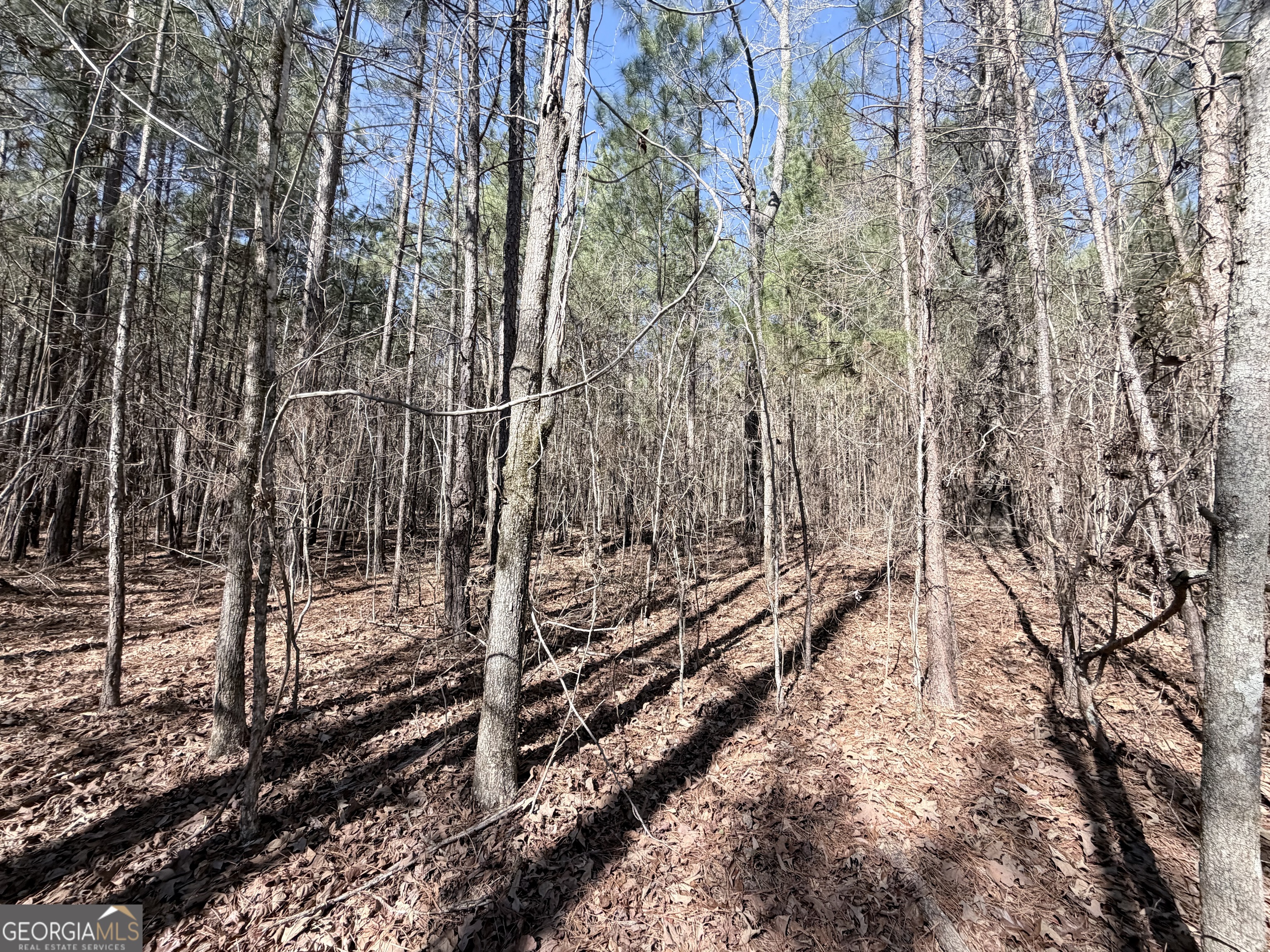 195 Margarets Grove Road Crawfordville, GA 30631 - Photo 21 of 34