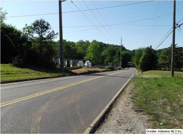 6719 Trussville Clay Road Pinson, AL 35126 - Photo 3 of 5