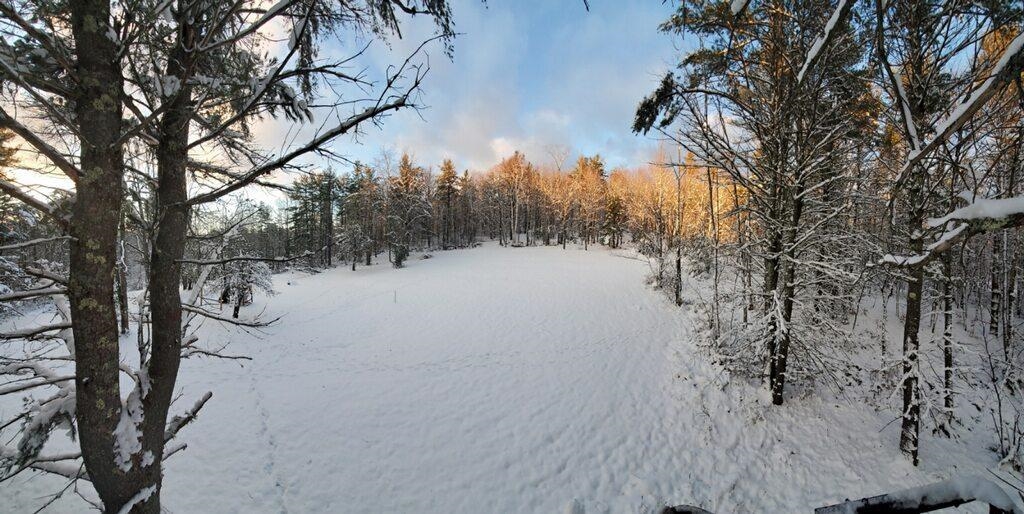 106 Turkey Shoot Road Acworth, NH 03601 - Photo 28 of 33
