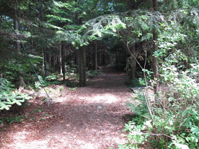 687 Bald Mountain Road Oquossoc, ME 04964 - Photo 16 of 18 Photo