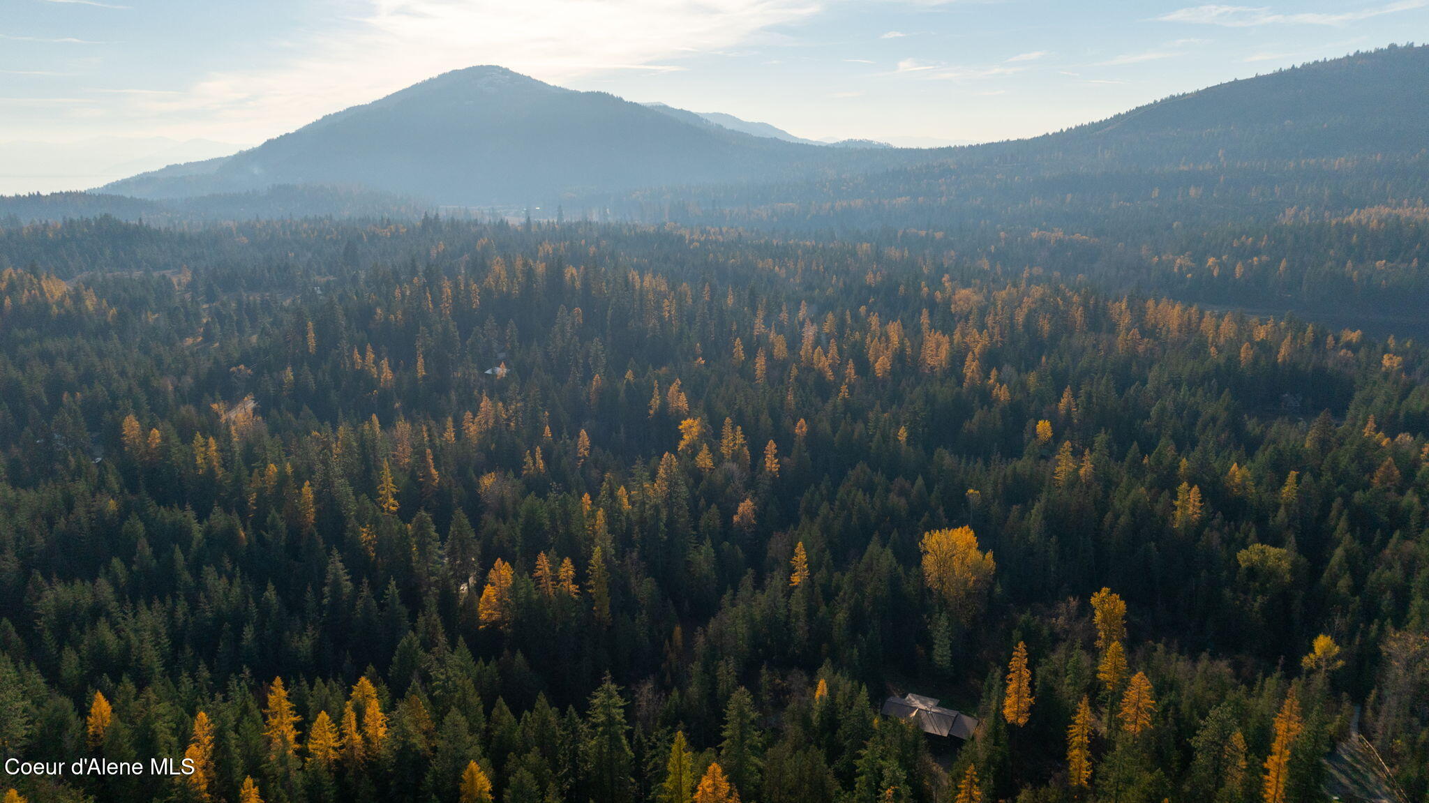 9816 Bottle Bay Road Sagle, ID 83860 - Photo 14 of 21 Aerial 12