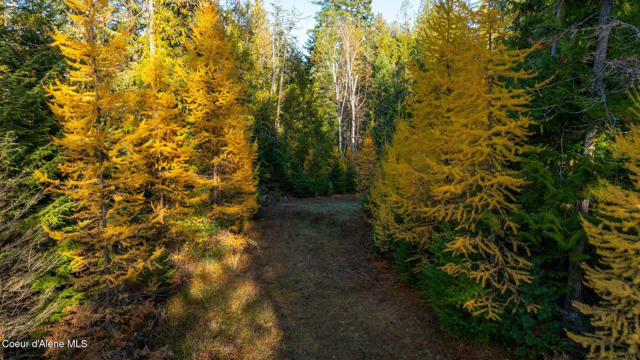 9816 Bottle Bay Road Sagle, ID 83860 - Photo 18 of 21 Aerial 16