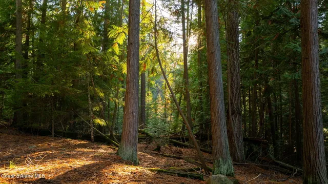 $205,000 | 9816 Bottle Bay Road, Sagle, ID 83860