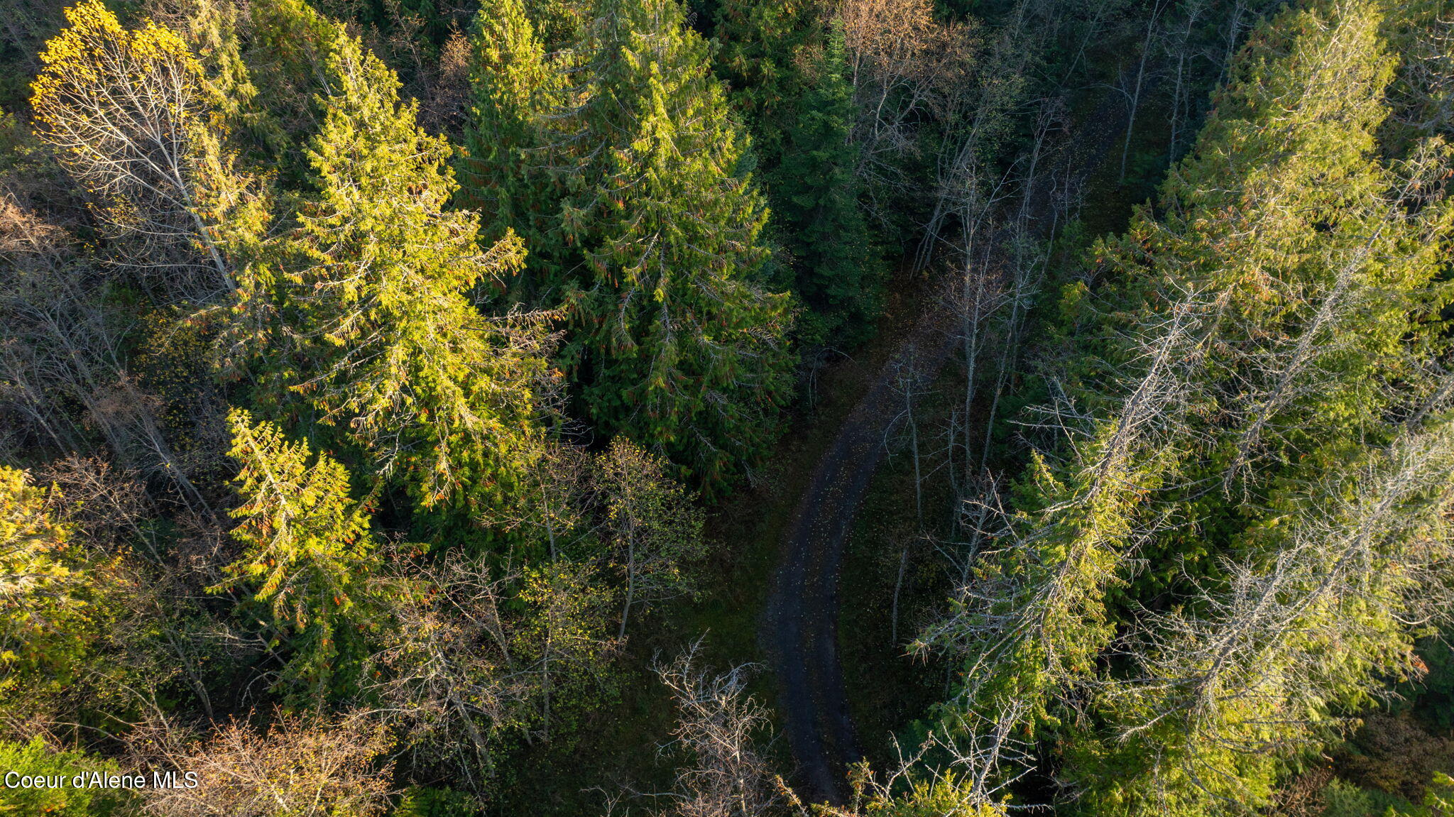 9816 Bottle Bay Road Sagle, ID 83860 - Photo 20 of 21 Aerial 19