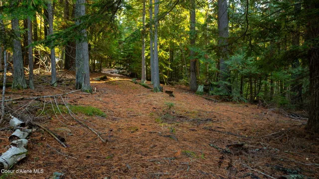 $205,000 | 9816 Bottle Bay Road, Sagle, ID 83860