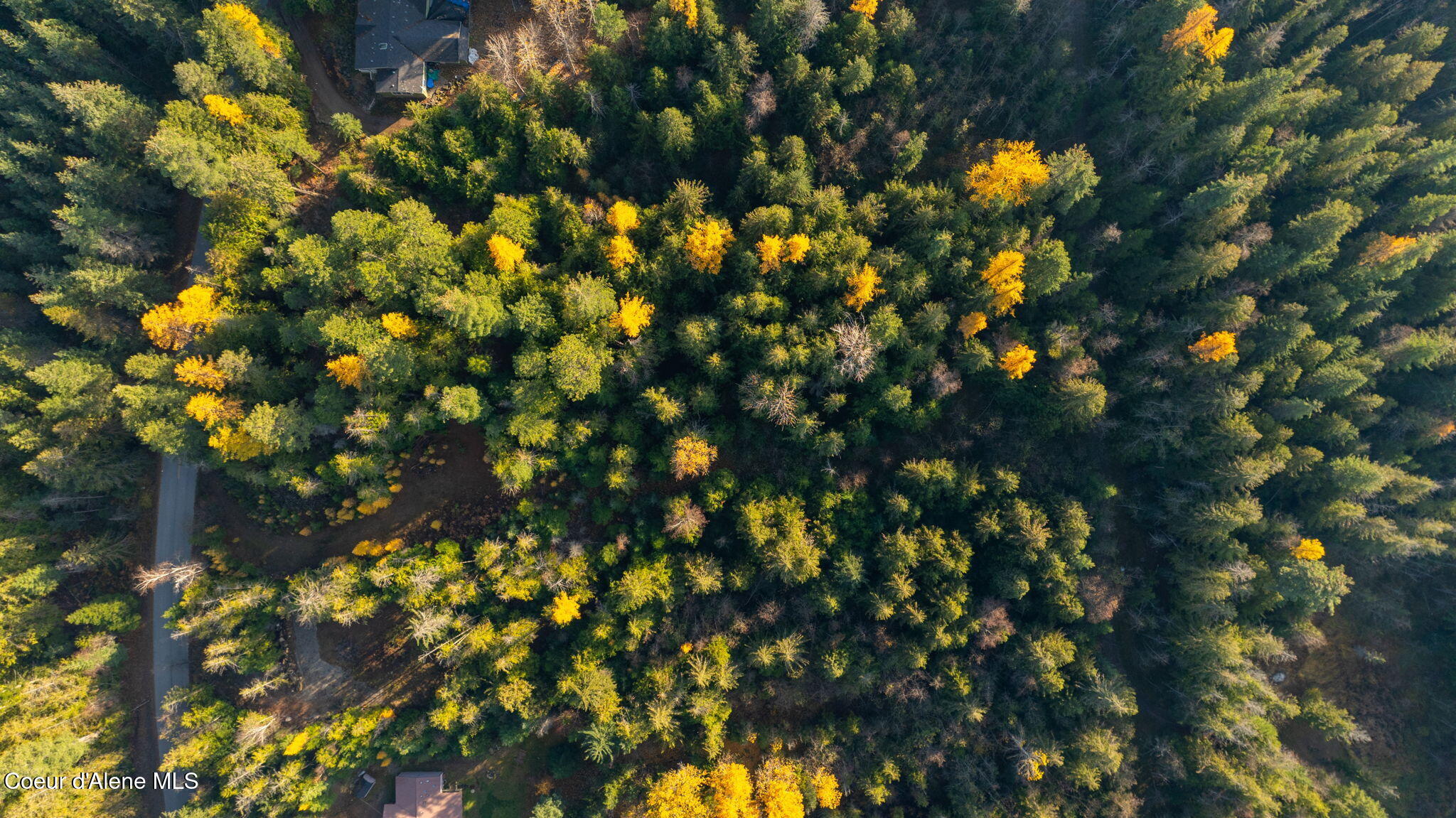 9816 Bottle Bay Road Sagle, ID 83860 - Photo 5 of 21 Aerial 3