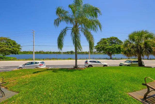 a view of a swimming pool with a garden and palm trees