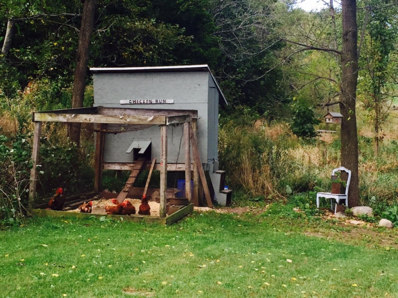 5504 Gun Lake Road Hastings, MI 49058 - Photo 27 of 27 Chicken Coop