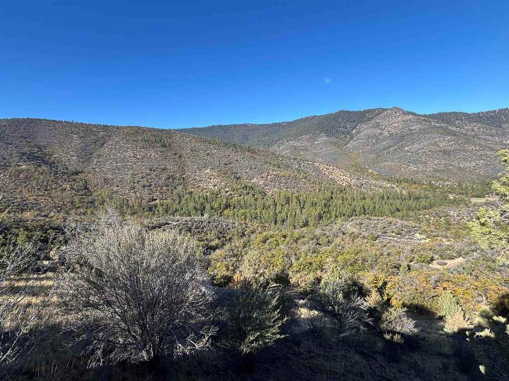 0 Guys Gulch Road Mount Shasta, CA 96067 - Photo 3 of 11 Gallery Image 3