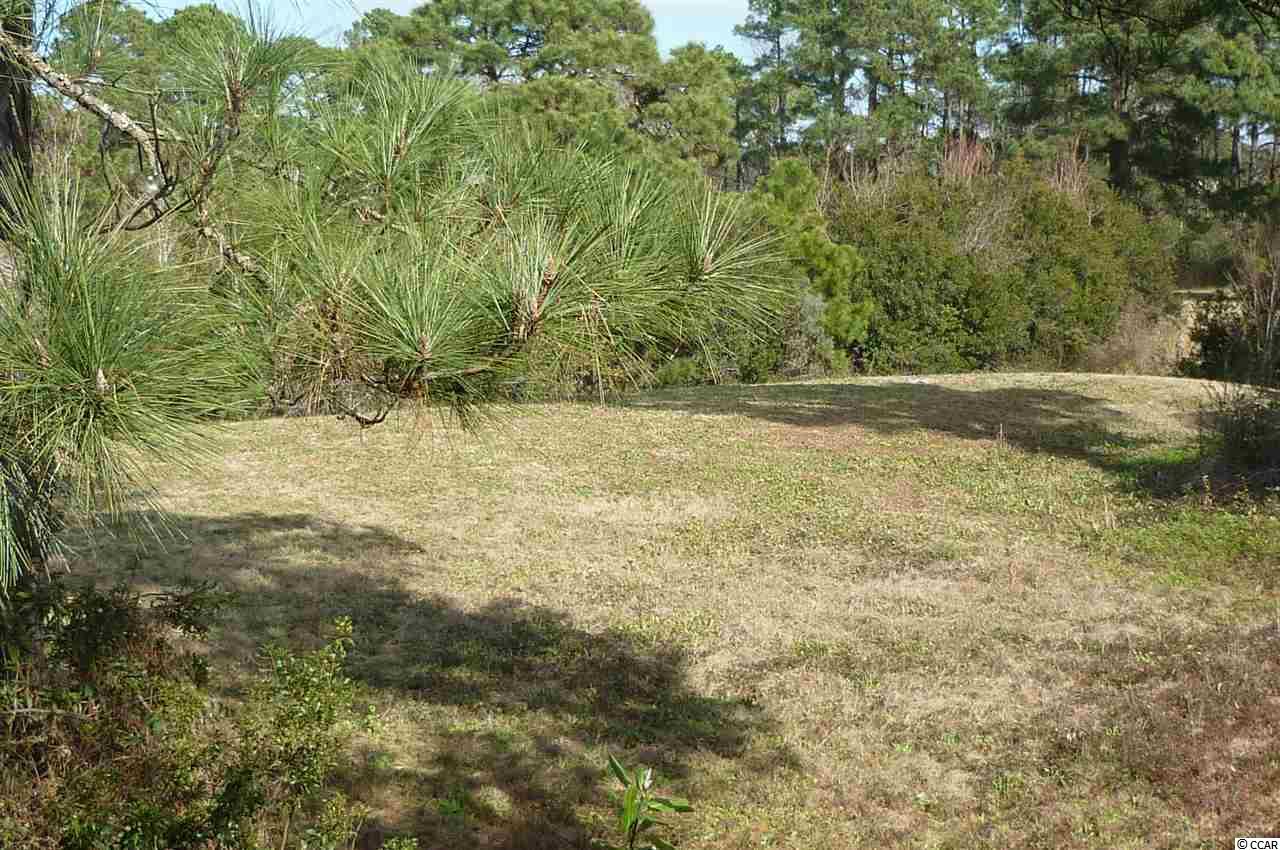 1340 Turkey Ridge Road, Unit A Surfside Beach, SC 29575 - Photo 19 of 25