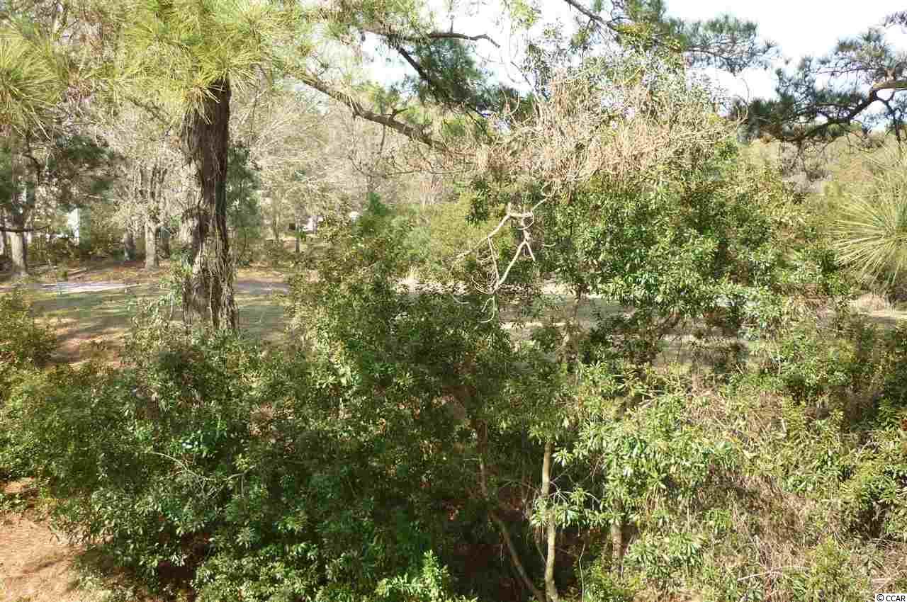 1340 Turkey Ridge Road, Unit A Surfside Beach, SC 29575 - Photo 22 of 25