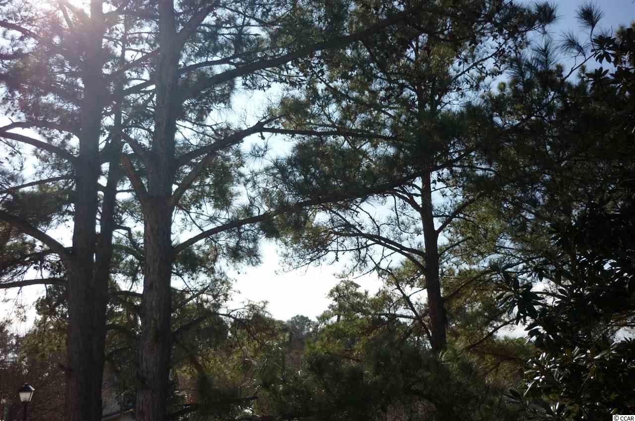 1340 Turkey Ridge Road, Unit A Surfside Beach, SC 29575 - Photo 23 of 25