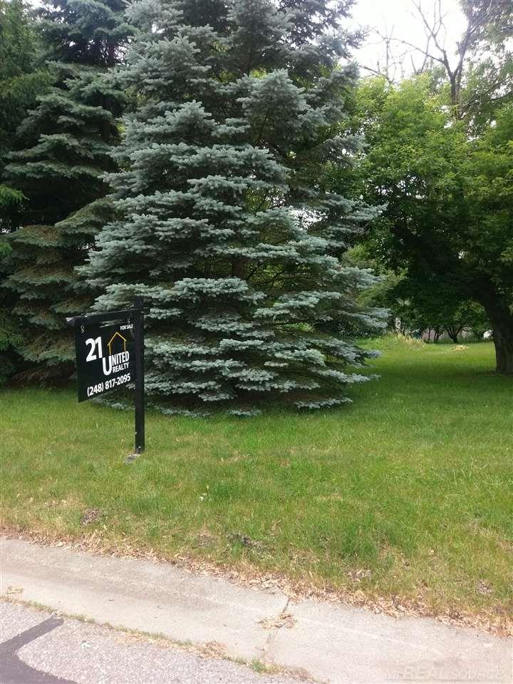 Vac Hessel Avenue Rochester Hills, MI 48307 - Photo 1 of 1