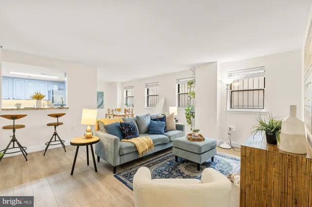 a living room with furniture potted plant and window