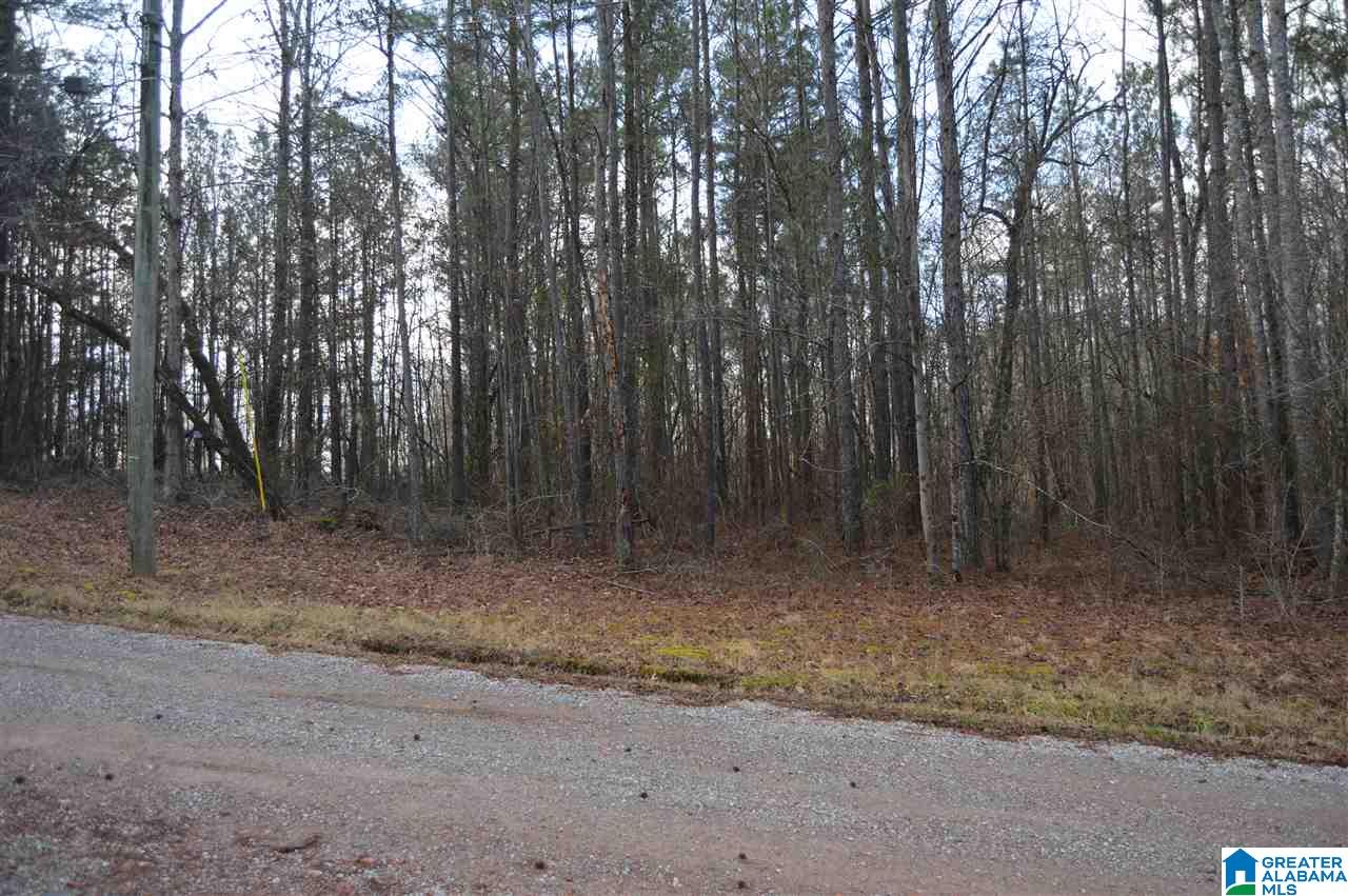 9776 Mcpherson Road, Unit 5 1 ACRES Warrior, AL 35180 - Photo 8 of 16 Gallery Image 8