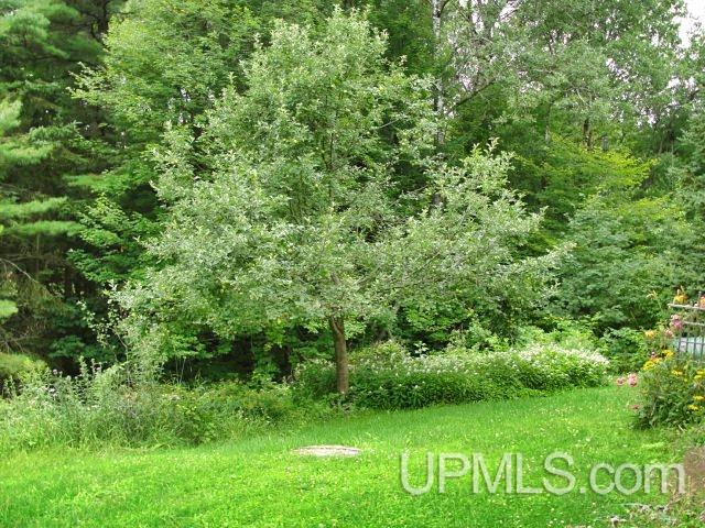 W9183 Co Road Pembine, WI 54156 - Photo 21 of 23