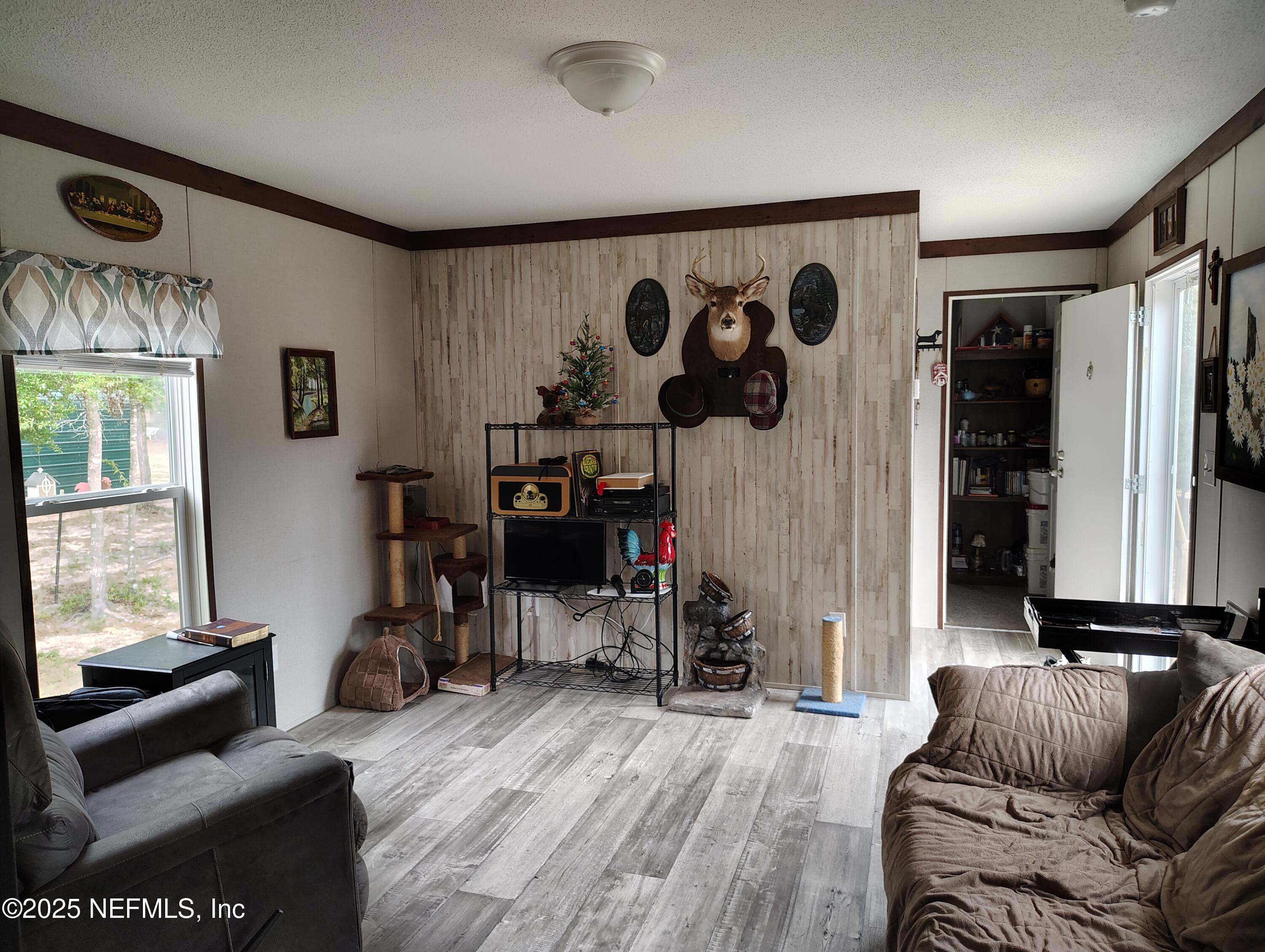 191 Kay Street Interlachen, FL 32148 - Photo 9 of 27 Living room