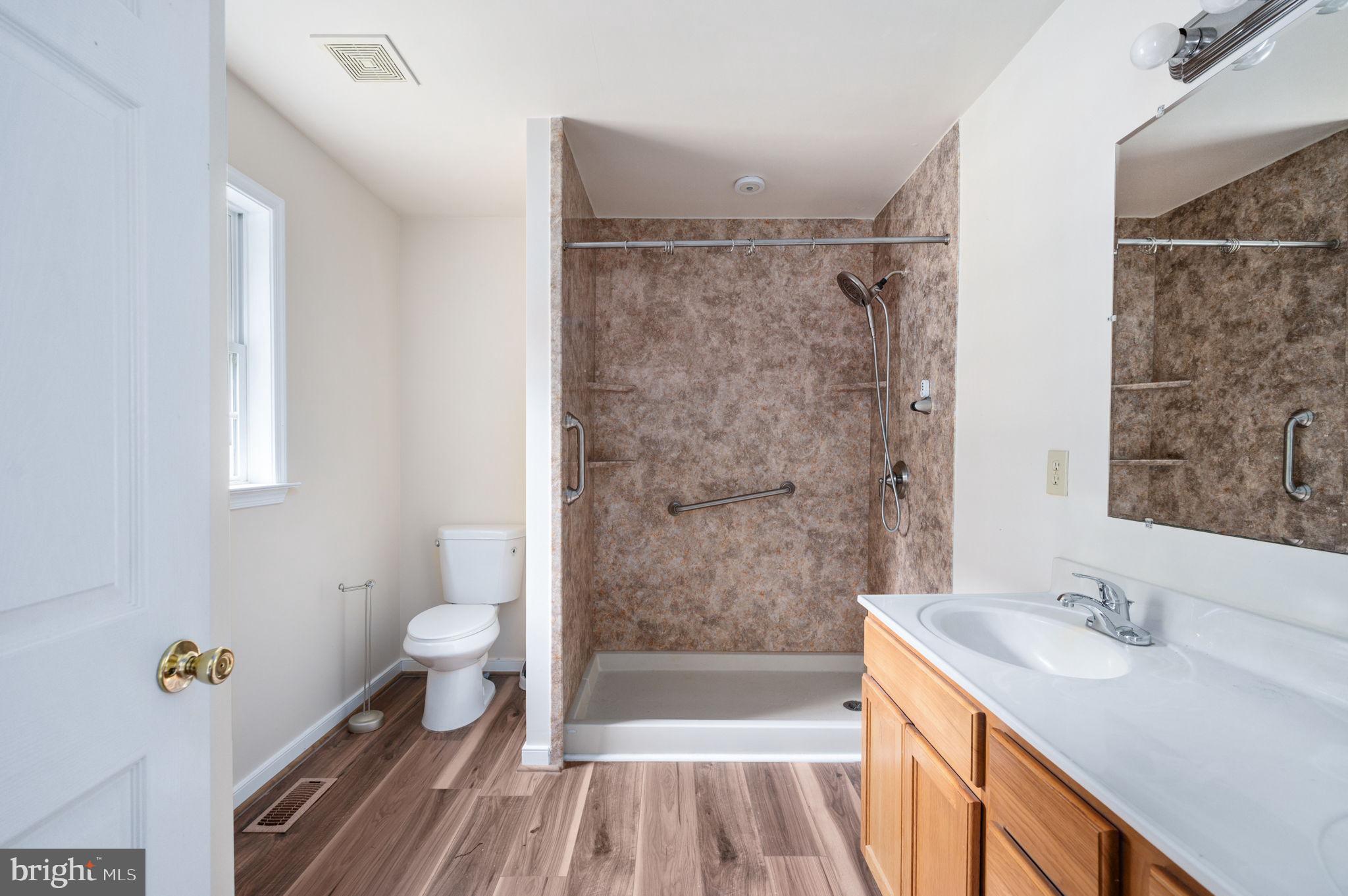1822 Copper Line Road Bumpass, VA 23024 - Photo 38 of 65 a bathroom with a sink a toilet a mirror and shower