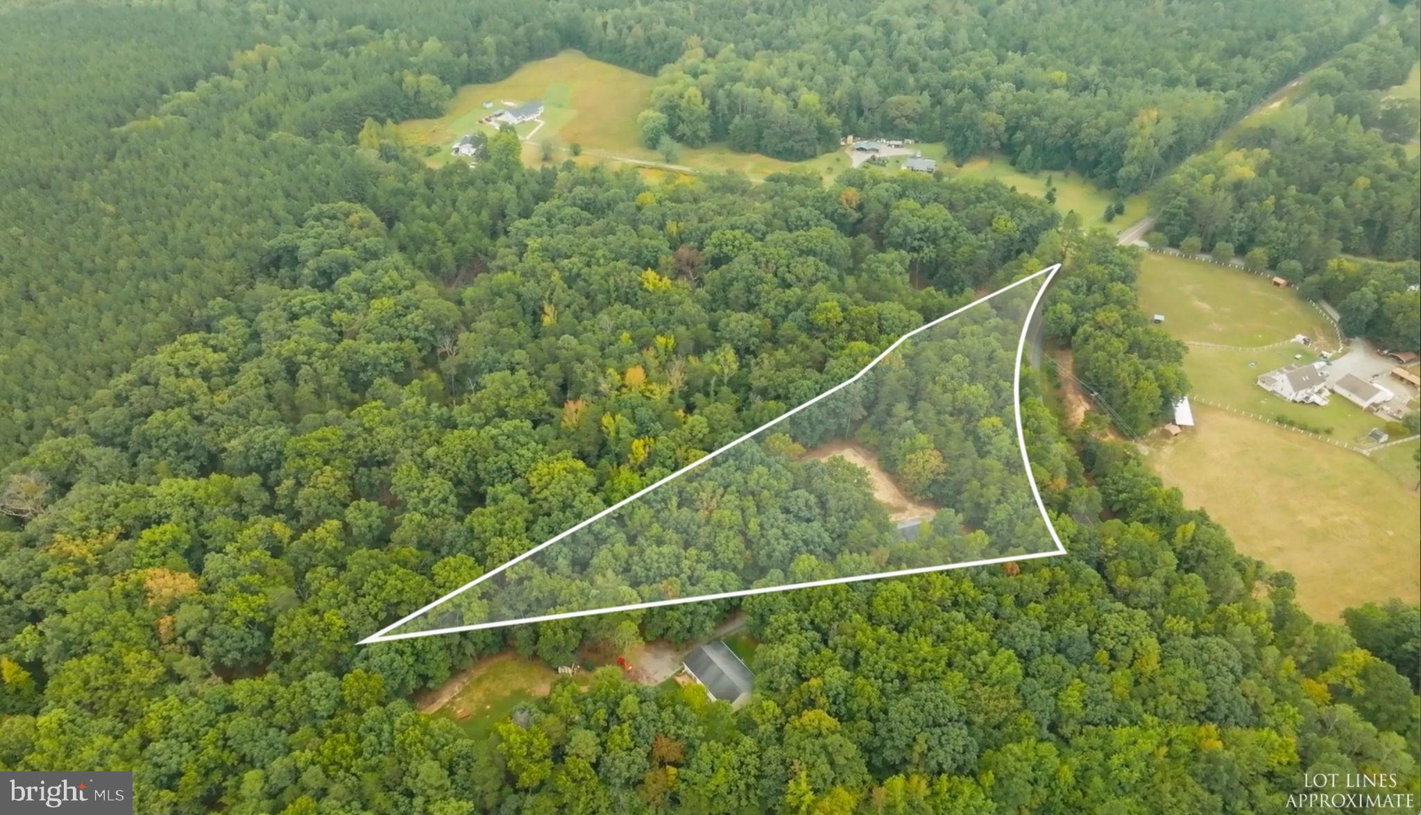 1822 Copper Line Road Bumpass, VA 23024 - Photo 48 of 65 a backyard of a house with lots of green space and a lake view