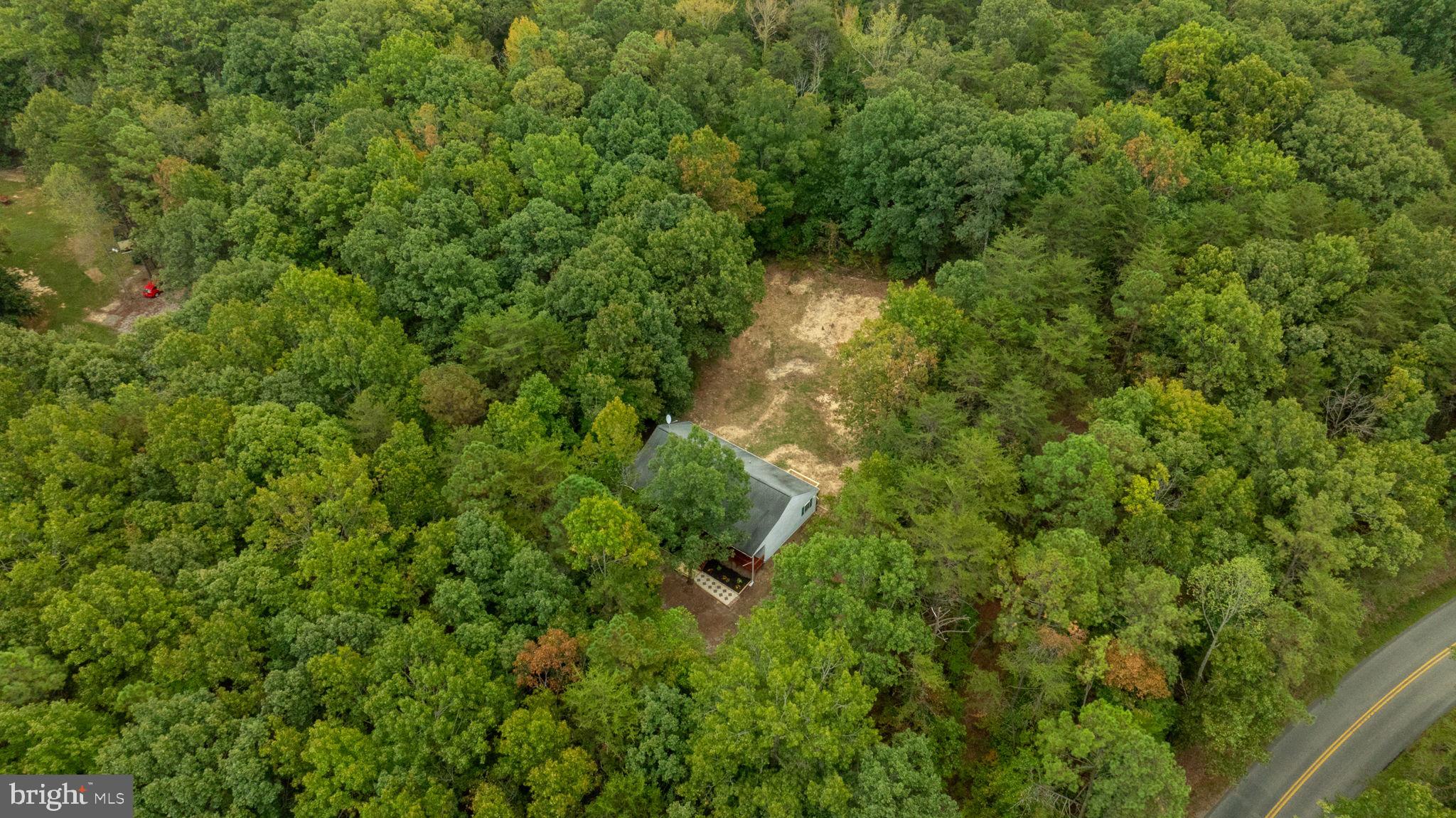 1822 Copper Line Road Bumpass, VA 23024 - Photo 55 of 65 a view of a lush green forest