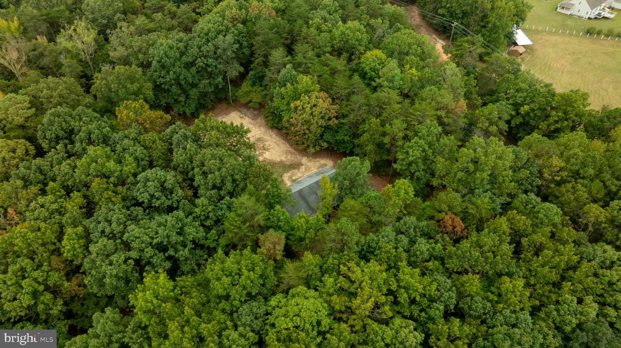 1822 Copper Line Road Bumpass, VA 23024 - Photo 57 of 65 a aerial view of a forest with a houses