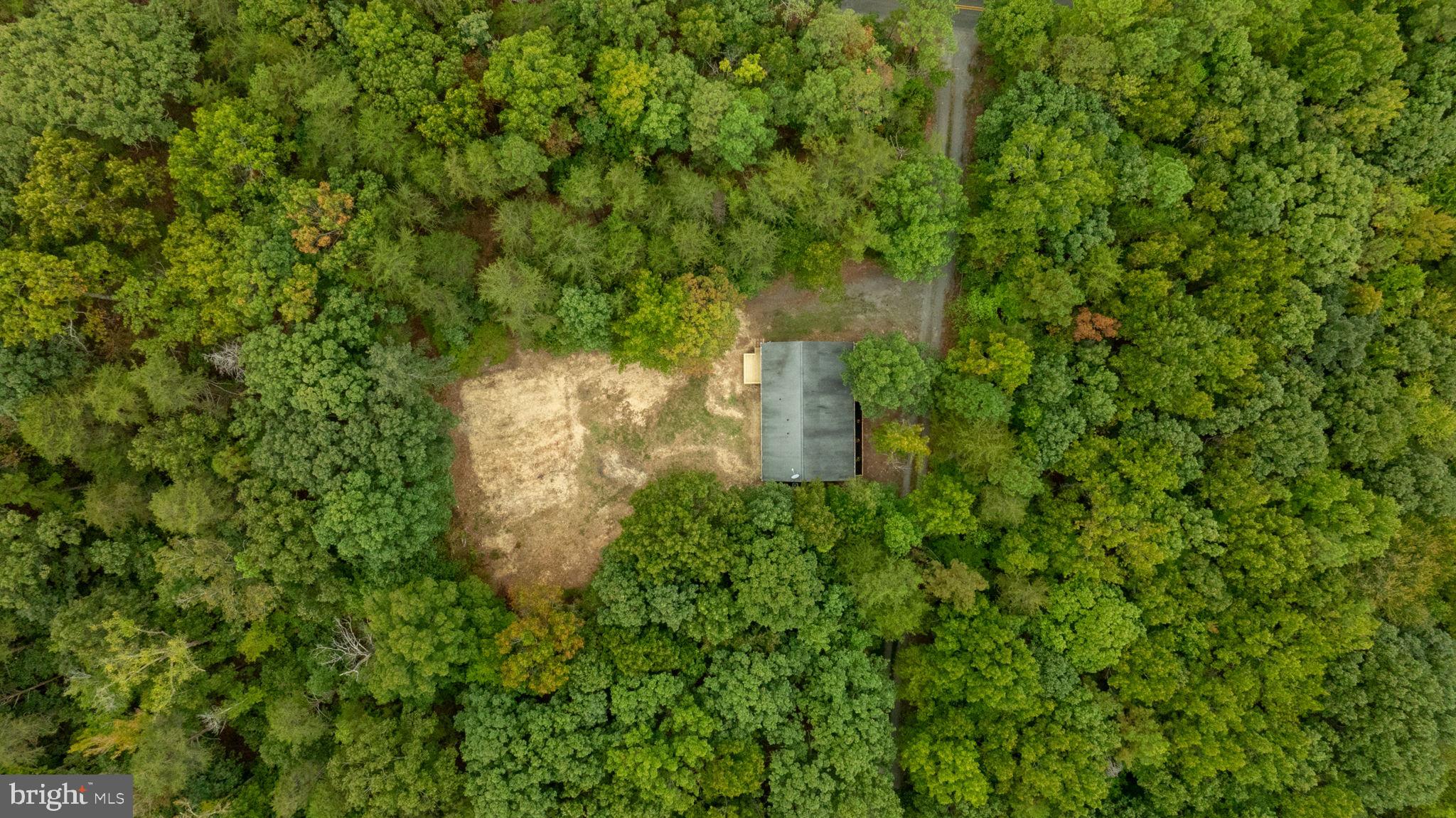 1822 Copper Line Road Bumpass, VA 23024 - Photo 58 of 65 a close up of a lush green space
