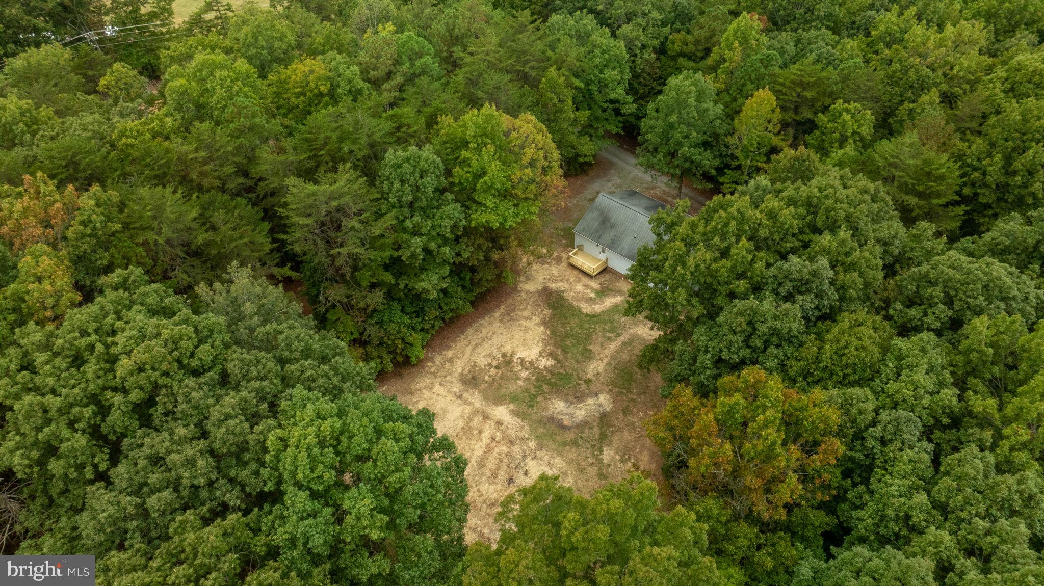 1822 Copper Line Road Bumpass, VA 23024 - Photo 59 of 65 a view of a yard