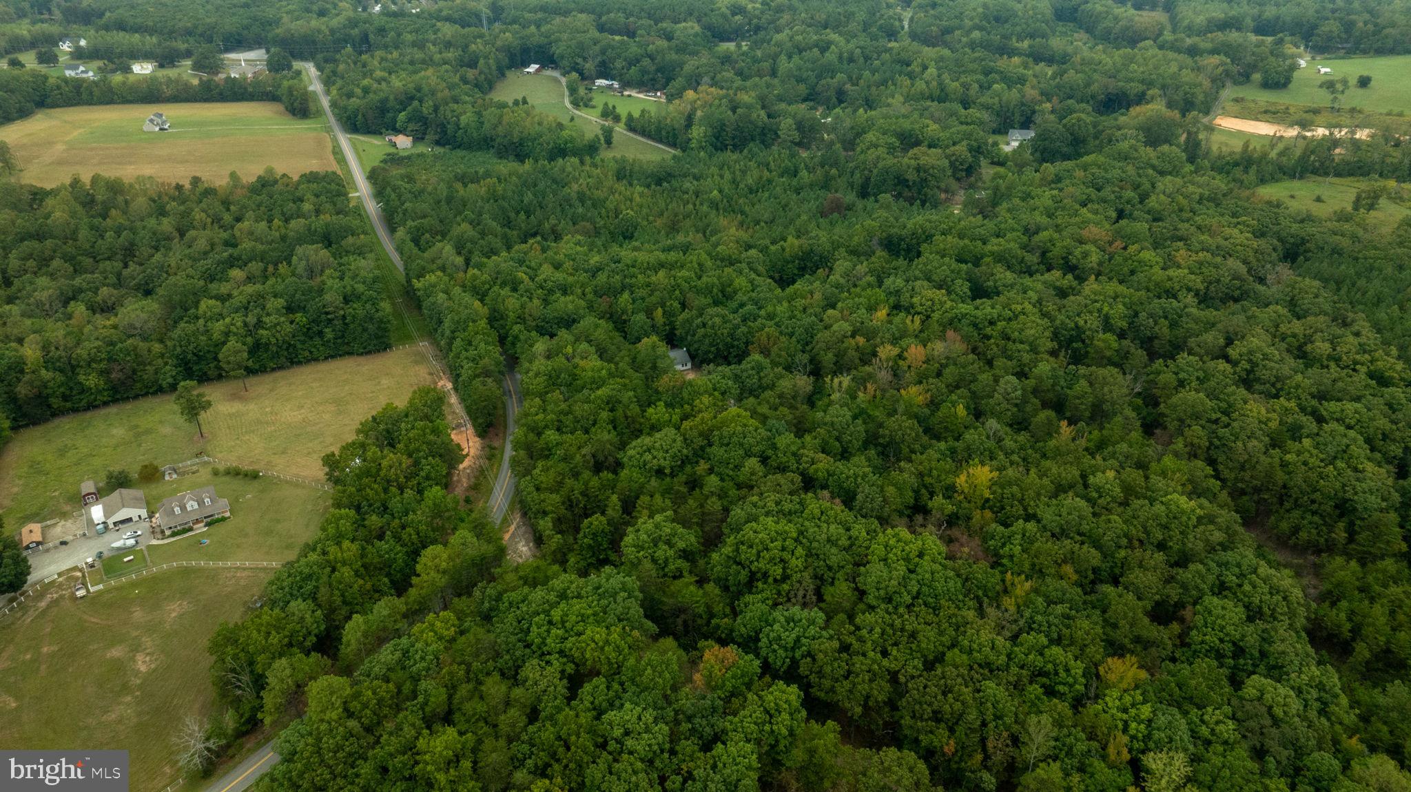 1822 Copper Line Road Bumpass, VA 23024 - Photo 62 of 65 an aerial view of a residential houses with outdoor space and trees