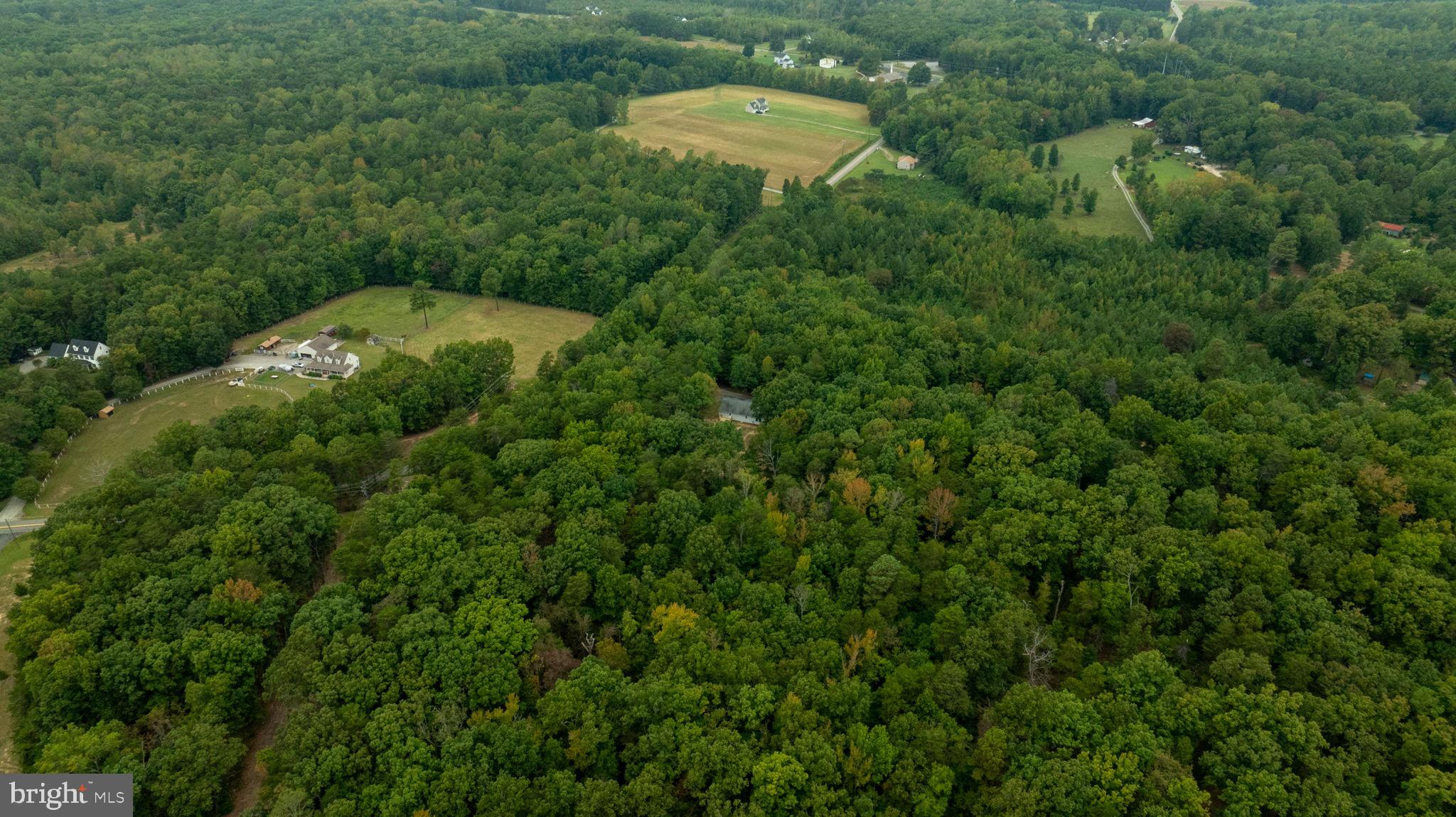 1822 Copper Line Road Bumpass, VA 23024 - Photo 64 of 65 a aerial view of a house with a yard and large trees