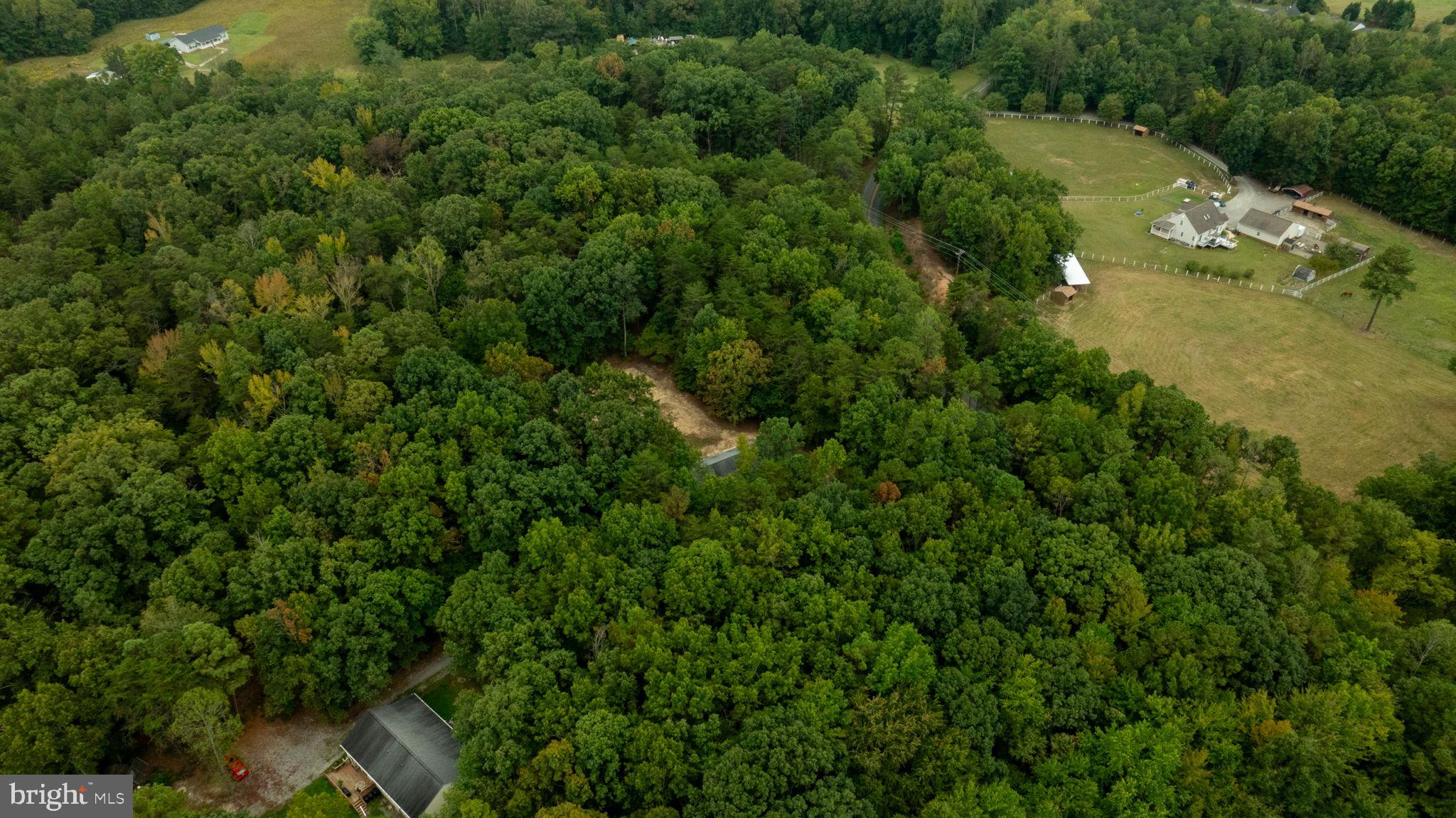 1822 Copper Line Road Bumpass, VA 23024 - Photo 65 of 65 an aerial view of residential houses with outdoor space and trees