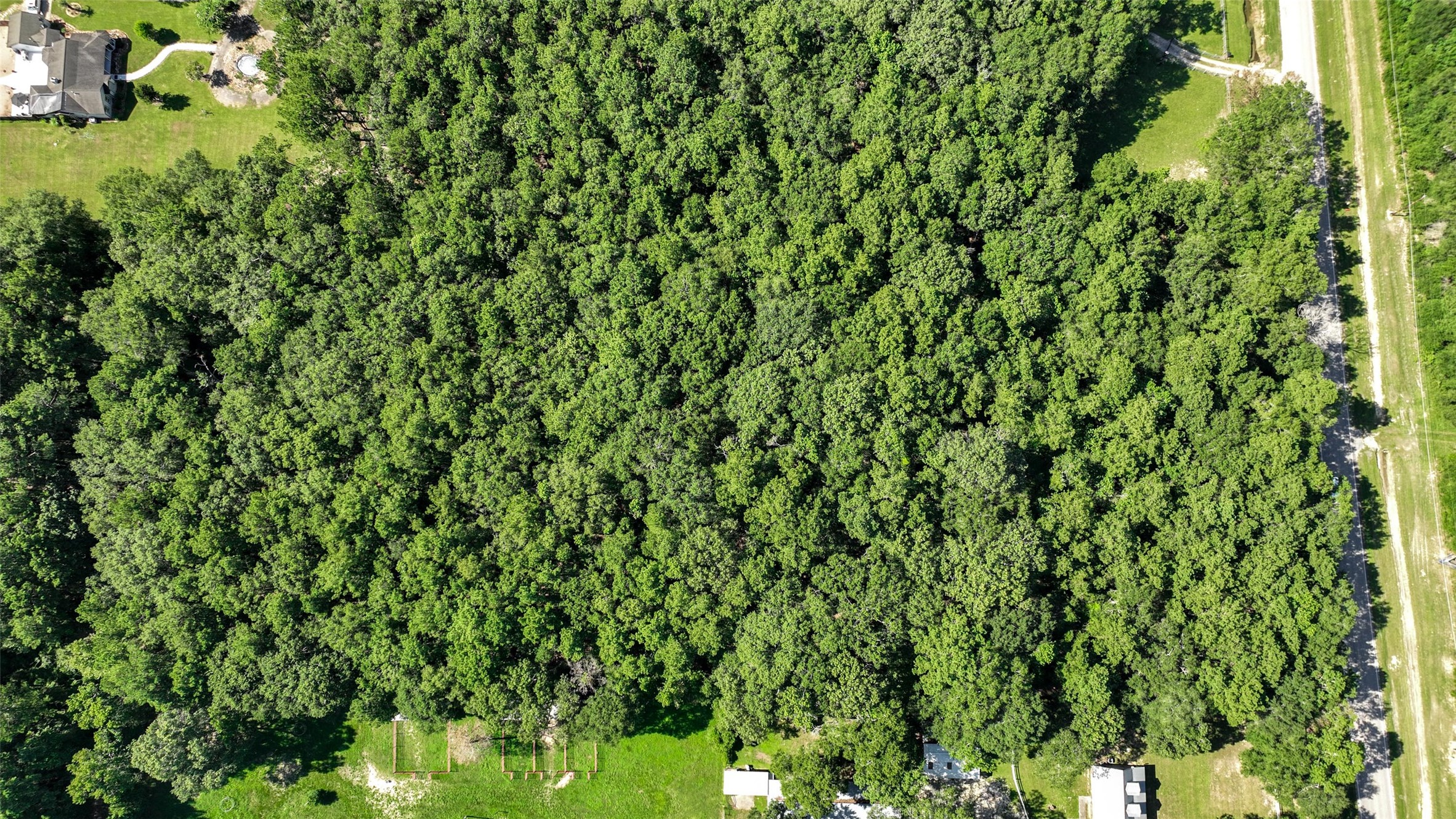 29811 Huffman Cleveland Road Huffman, TX 77336 - Photo 14 of 20 a view of a lush green forest