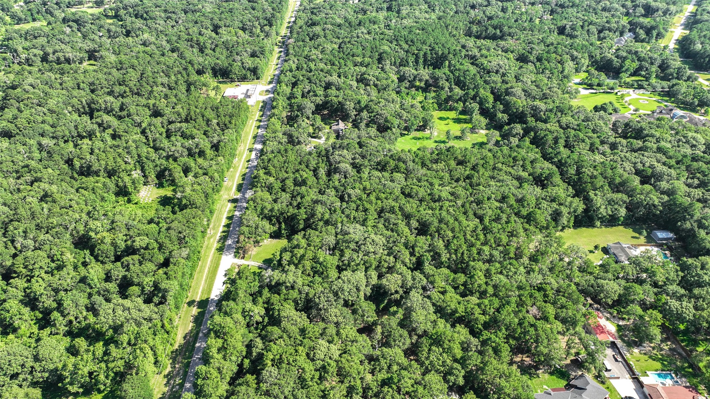 29811 Huffman Cleveland Road Huffman, TX 77336 - Photo 17 of 20 a view of a lush green forest