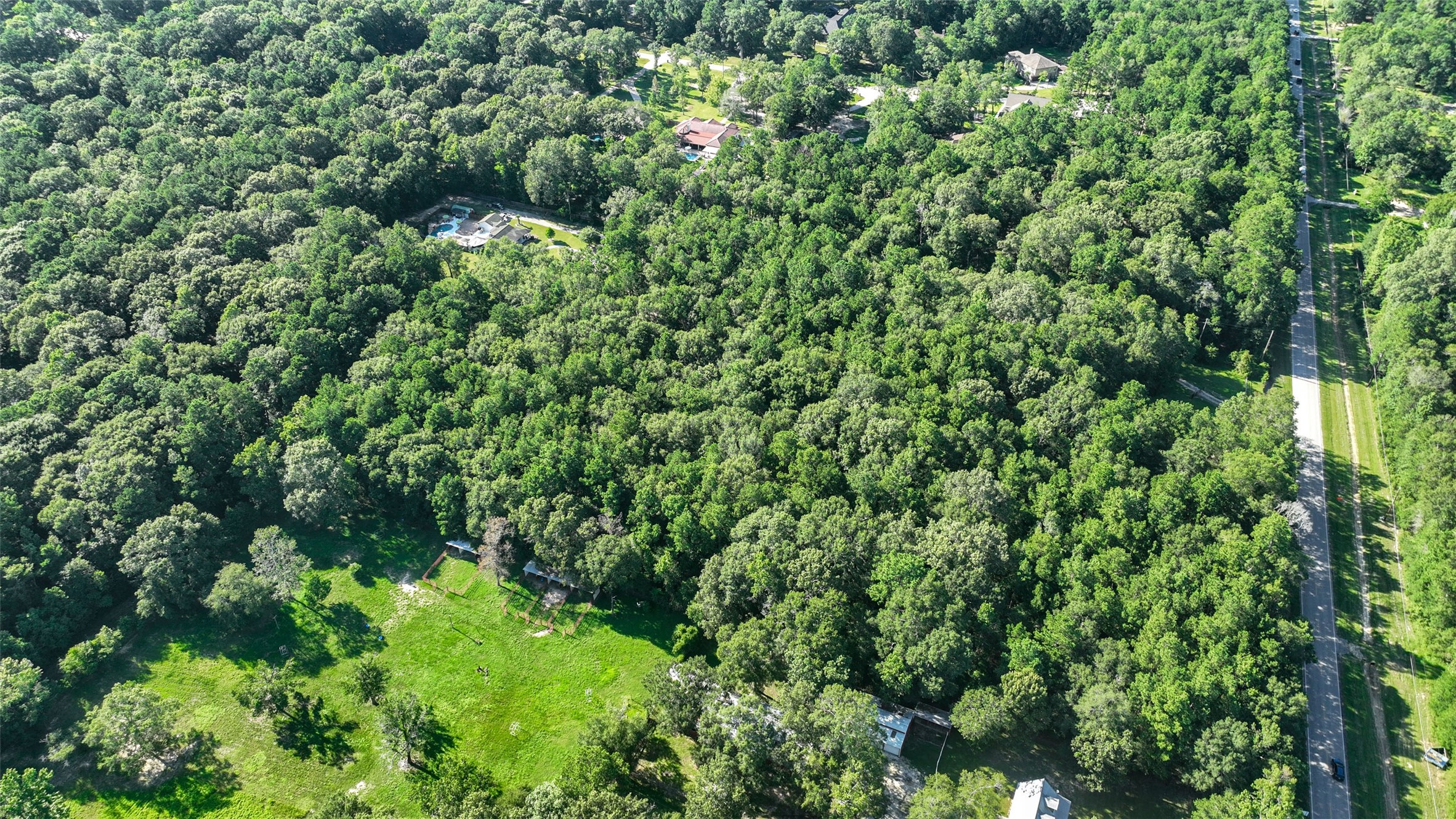 29811 Huffman Cleveland Road Huffman, TX 77336 - Photo 18 of 20 a view of a lush green forest