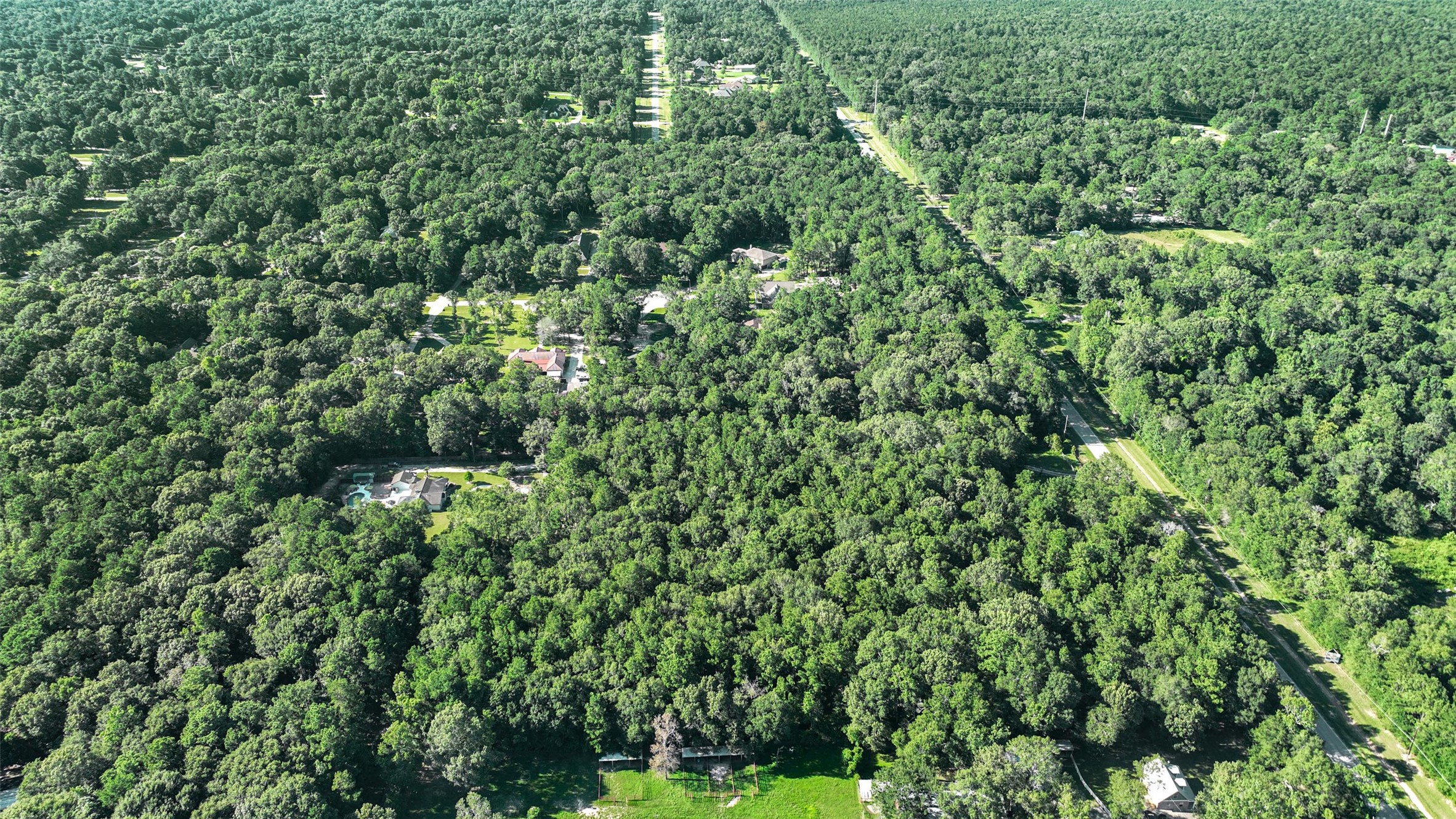 29811 Huffman Cleveland Road Huffman, TX 77336 - Photo 19 of 20 a view of a lush green forest with a building
