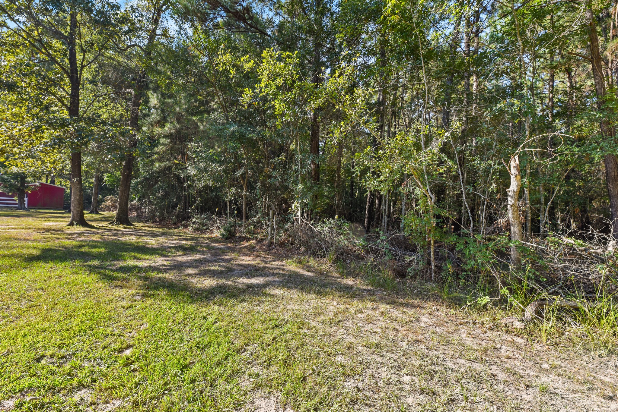 29811 Huffman Cleveland Road Huffman, TX 77336 - Photo 5 of 20 a view of outdoor space with trees