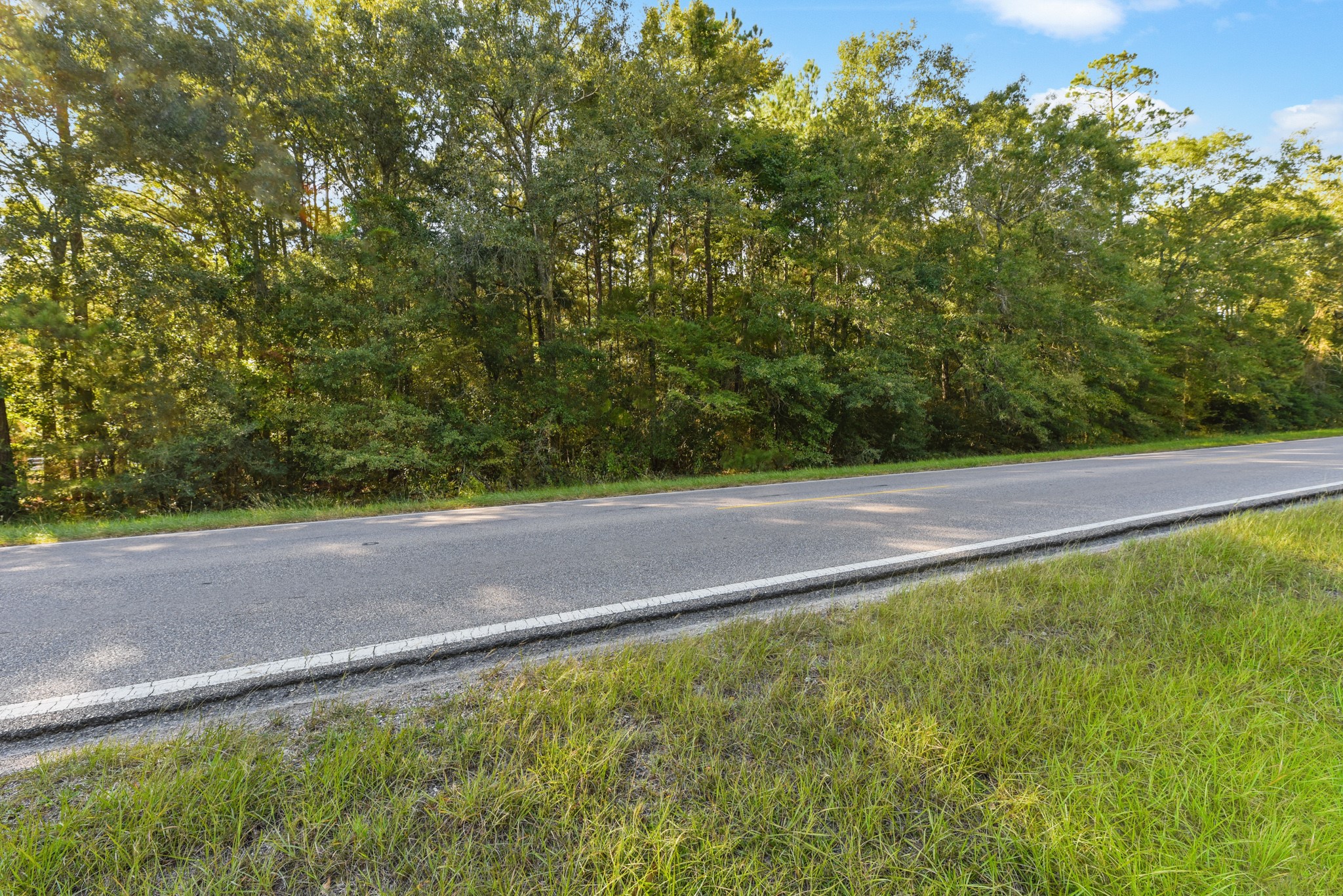 29811 Huffman Cleveland Road Huffman, TX 77336 - Photo 6 of 20 a view of a yard with a tree