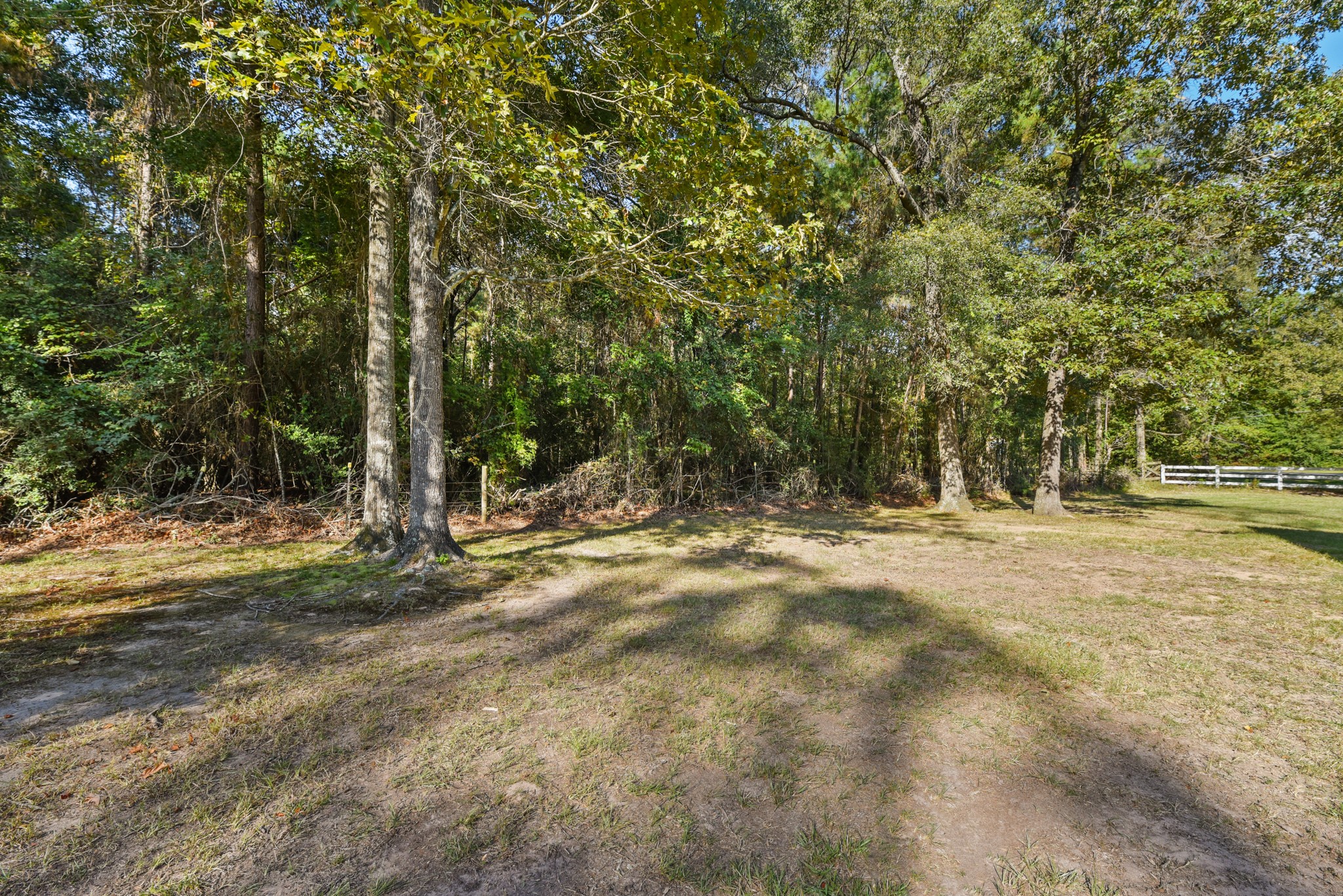 29811 Huffman Cleveland Road Huffman, TX 77336 - Photo 7 of 20 a view of outdoor space with trees