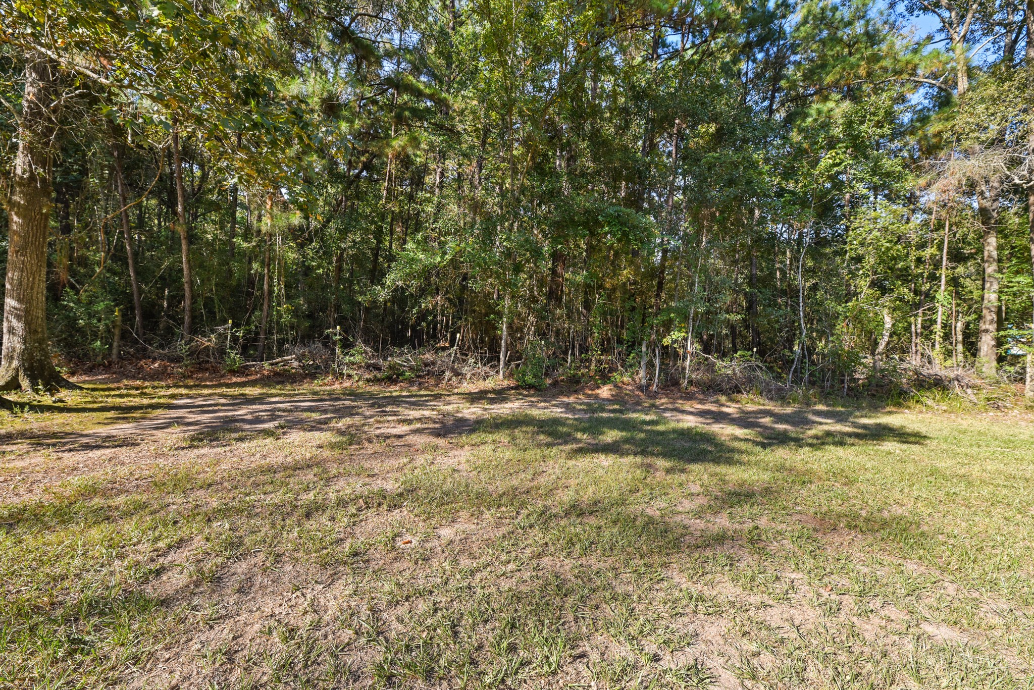 29811 Huffman Cleveland Road Huffman, TX 77336 - Photo 8 of 20 a view of outdoor space with deck and tree