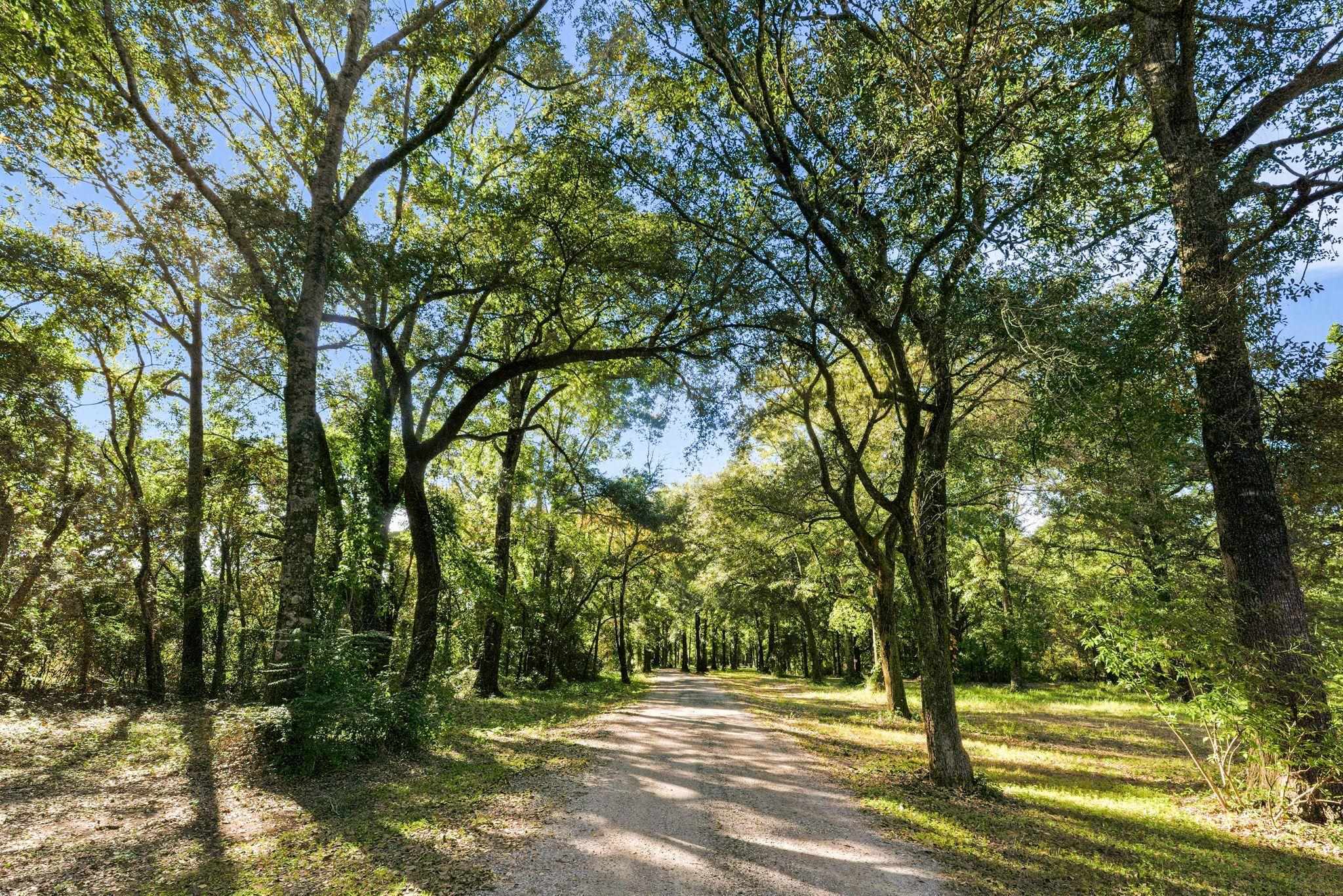 24250 River Road North Daphne, AL 36526 - Photo 79 of 80