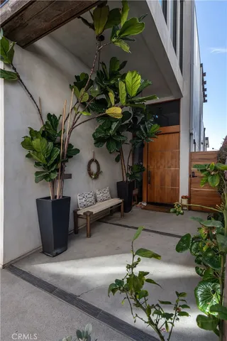 a potted plant sitting in front of a house