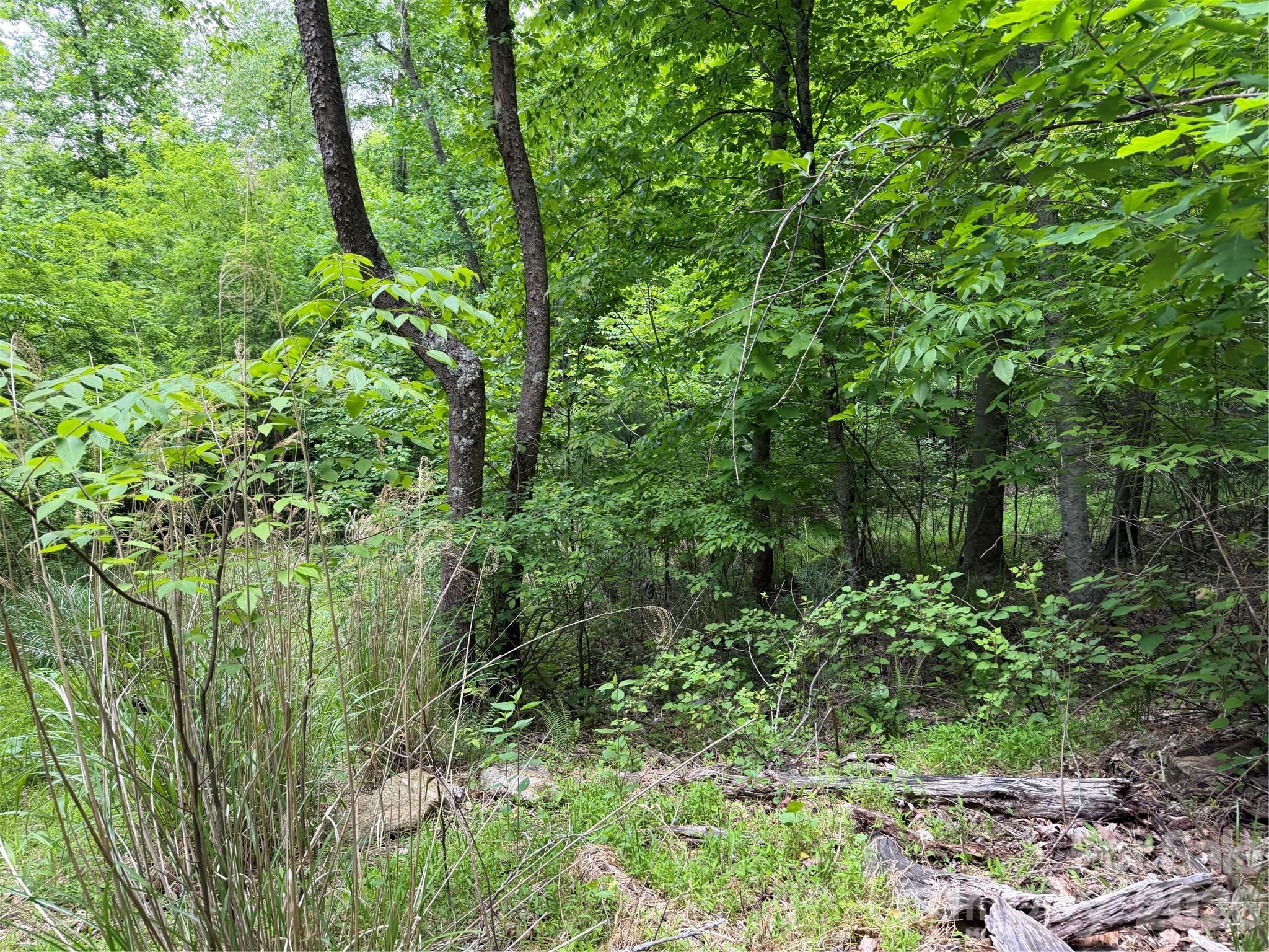 408 Arvil Gosnell Road Marshall, NC 28753 - Photo 20 of 31 a view of a garden