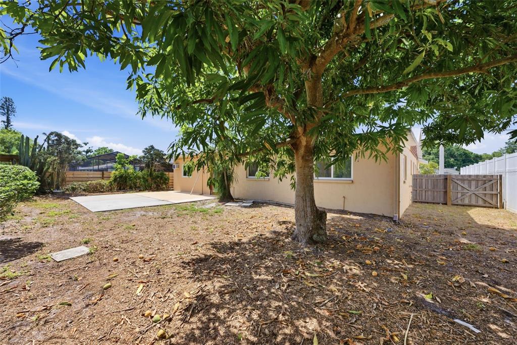 4536 Webber Street Sarasota, FL 34232 - Photo 29 of 45 a view of a yard with plants and trees