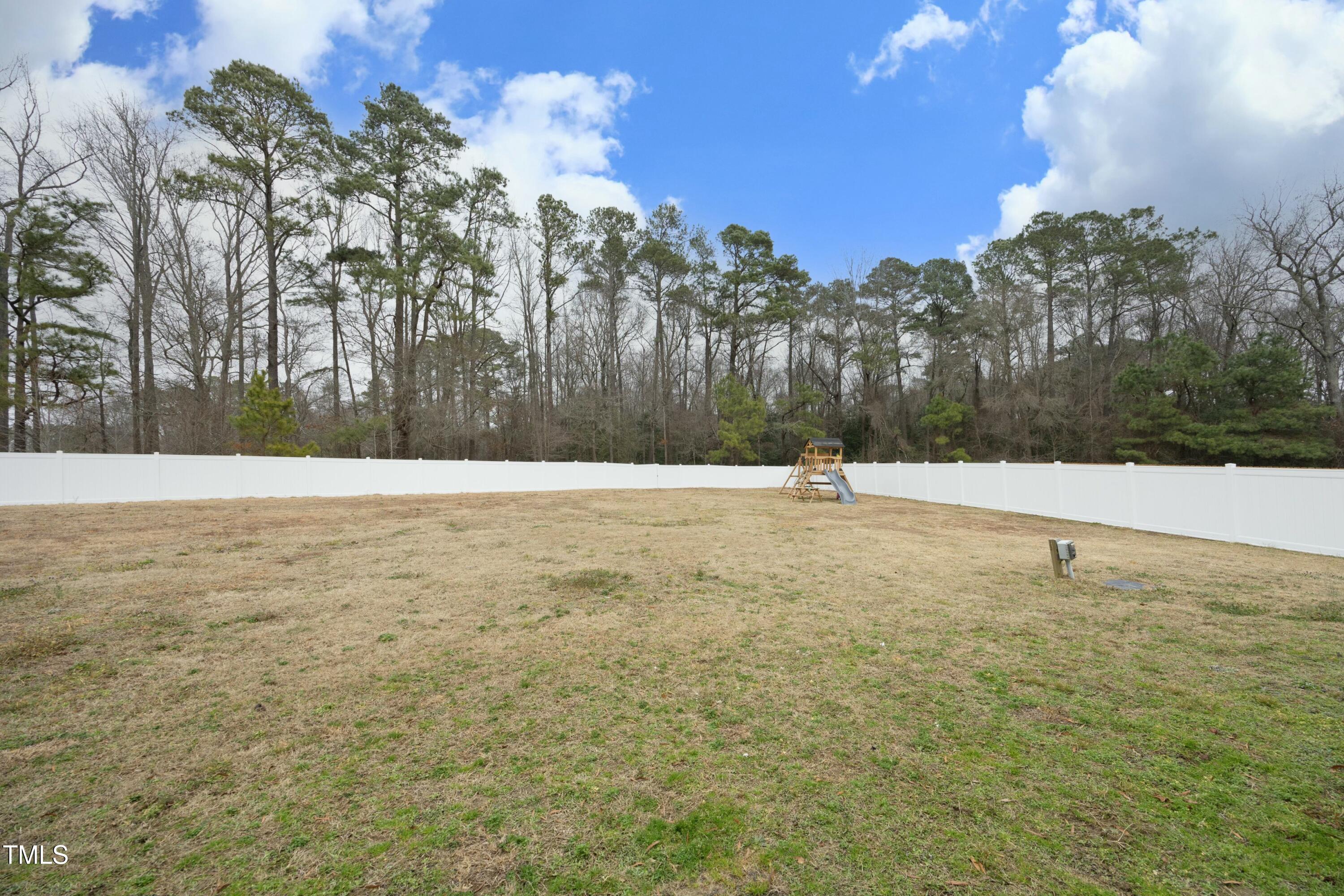 97 Buckstone Place Willow Spring, NC 27592 - Photo 32 of 33 a view of outdoor space with trees