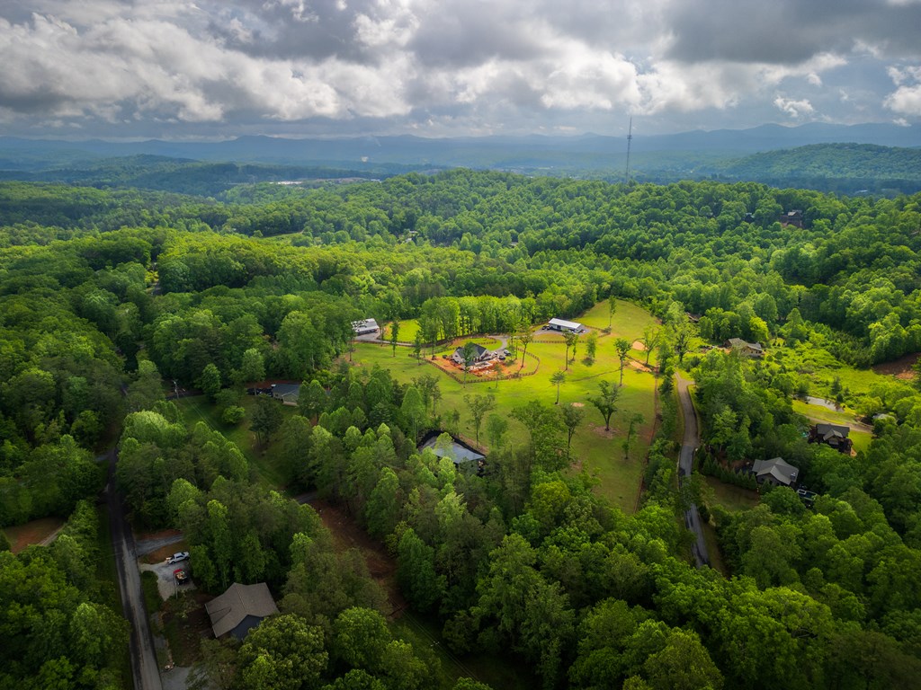 485 Sowers Road Blue Ridge, GA 30513 - Photo 14 of 45 Gallery Image 14
