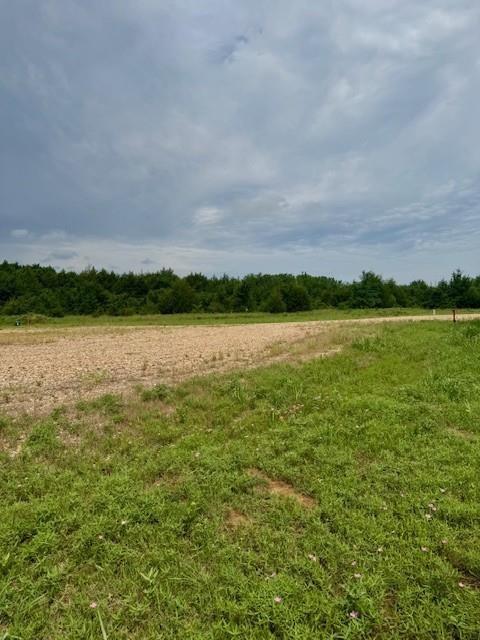 37 Redbird Lane Colbert, OK 74733 - Photo 6 of 10